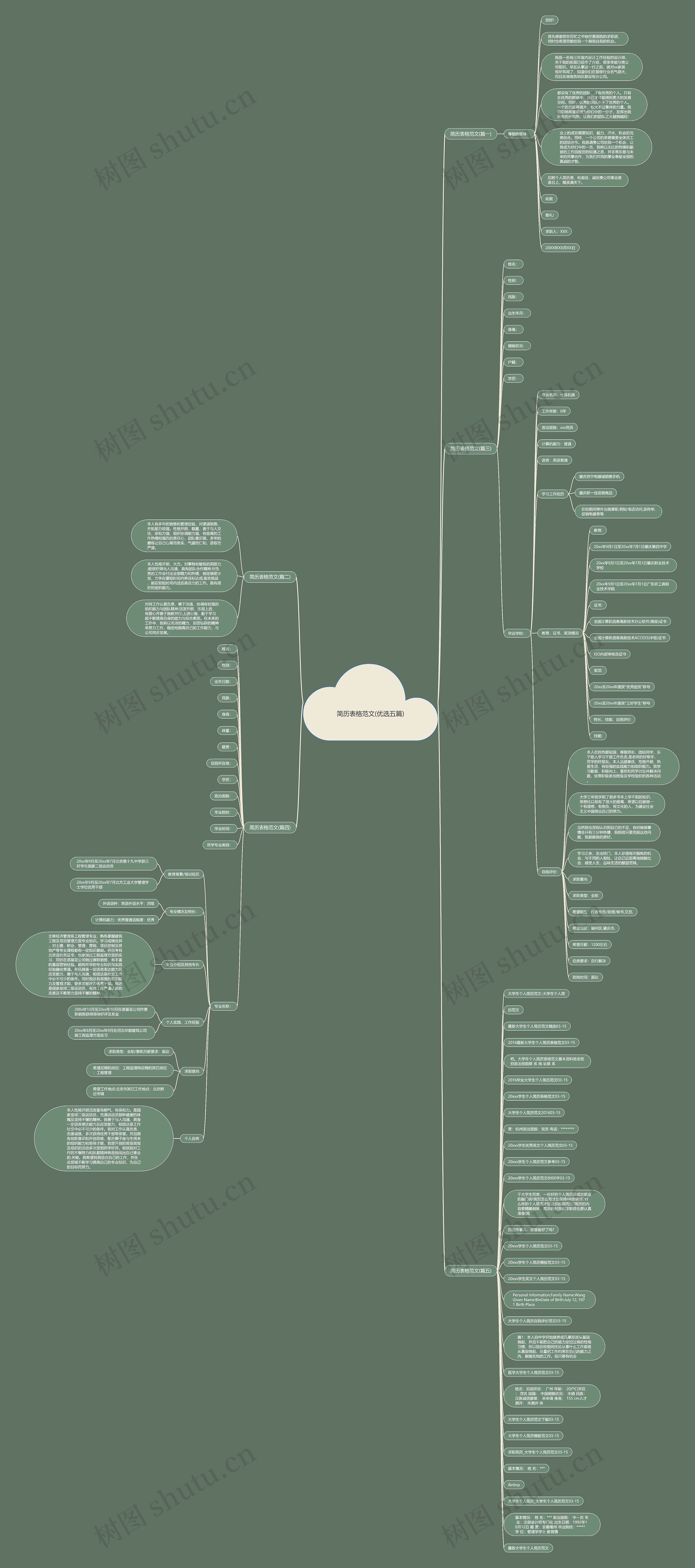 简历表格范文(优选五篇)思维导图