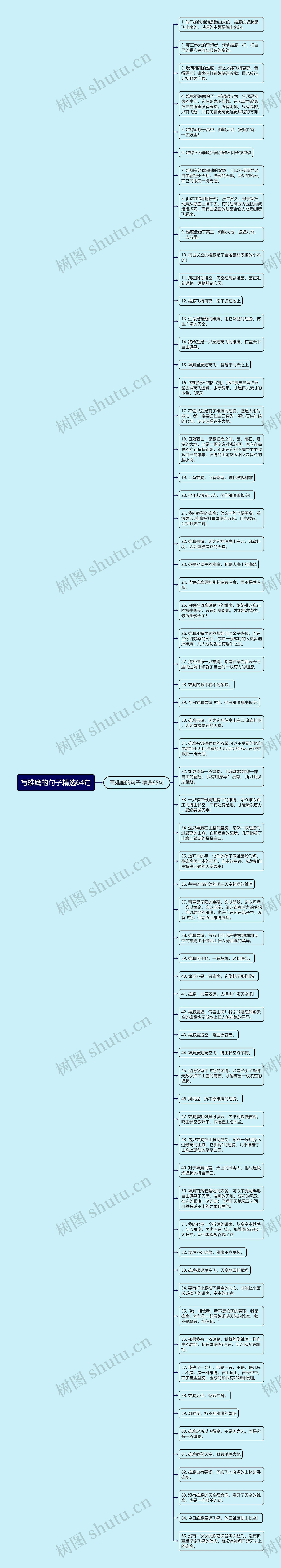 写雄鹰的句子精选64句思维导图