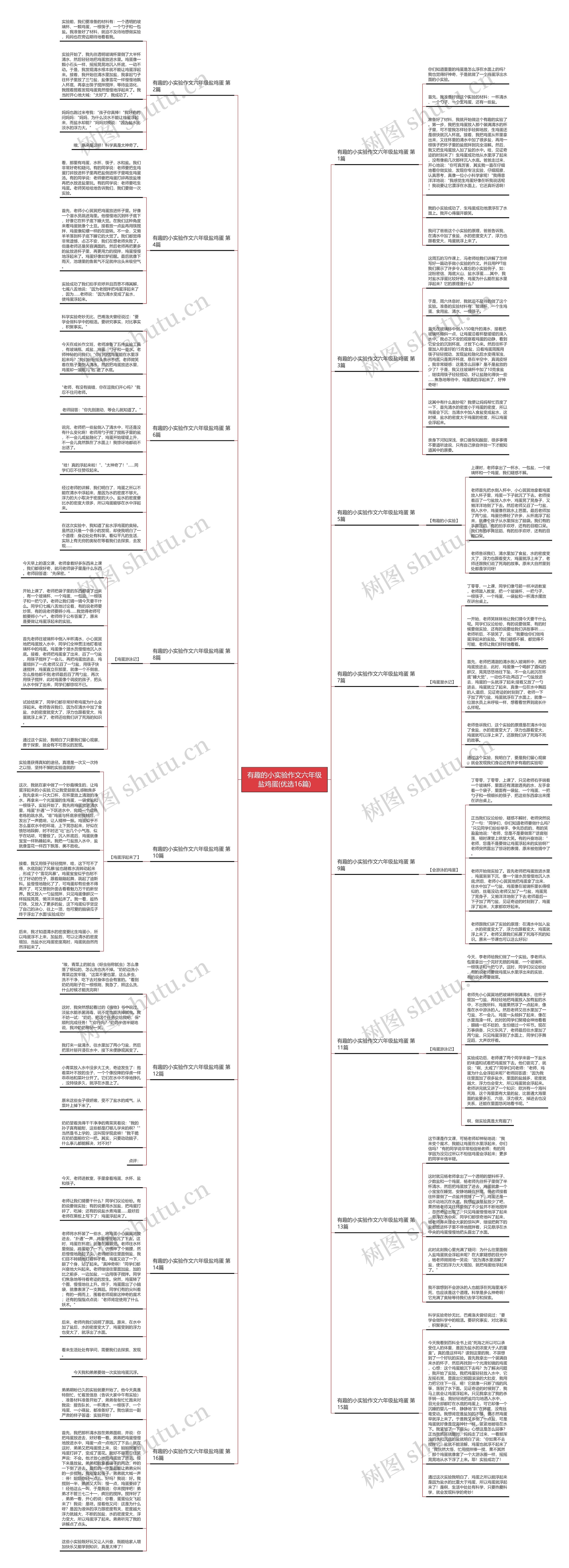 有趣的小实验作文六年级盐鸡蛋(优选16篇)思维导图