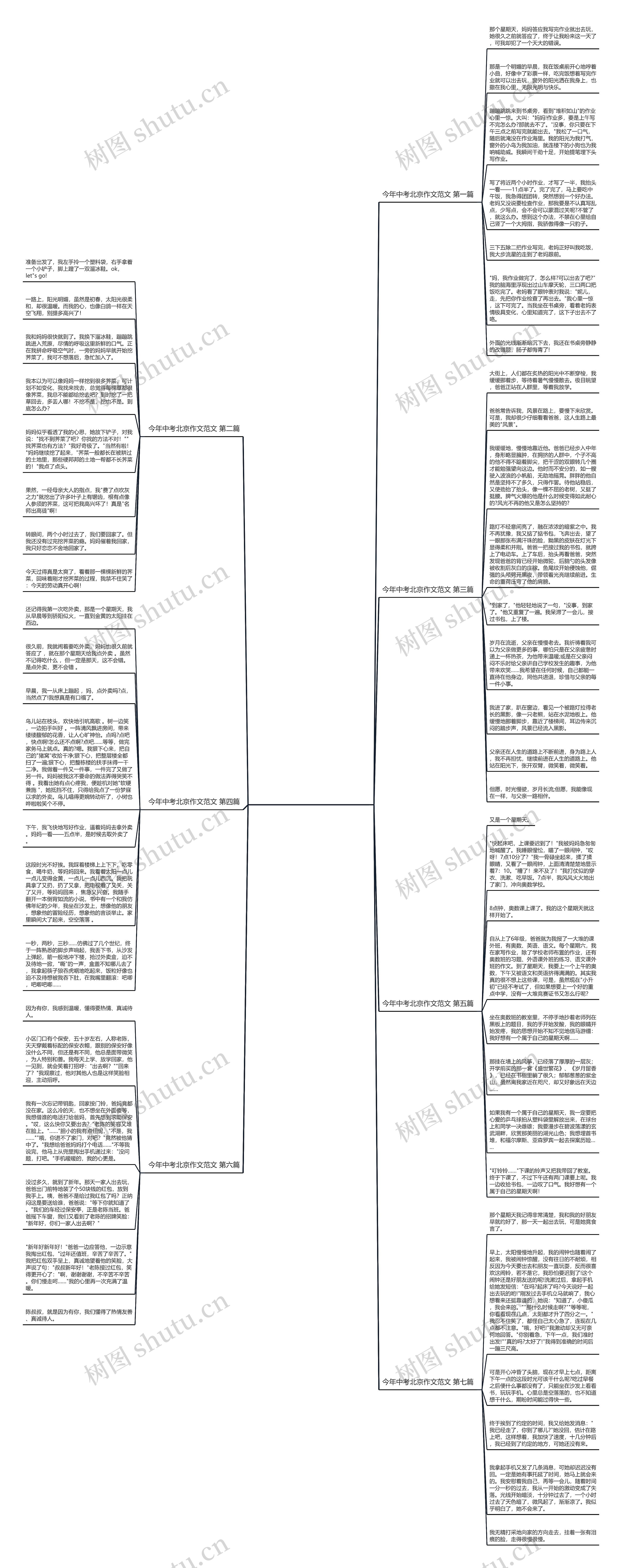 今年中考北京作文范文共7篇思维导图