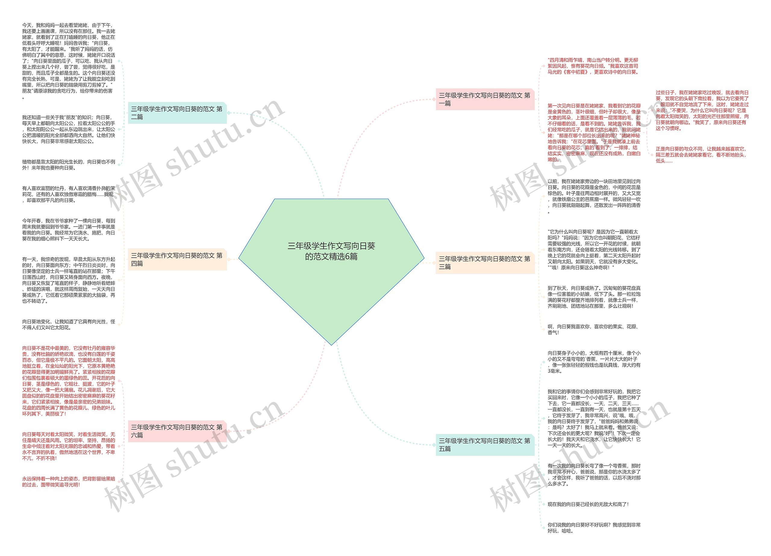 三年级学生作文写向日葵的范文精选6篇思维导图