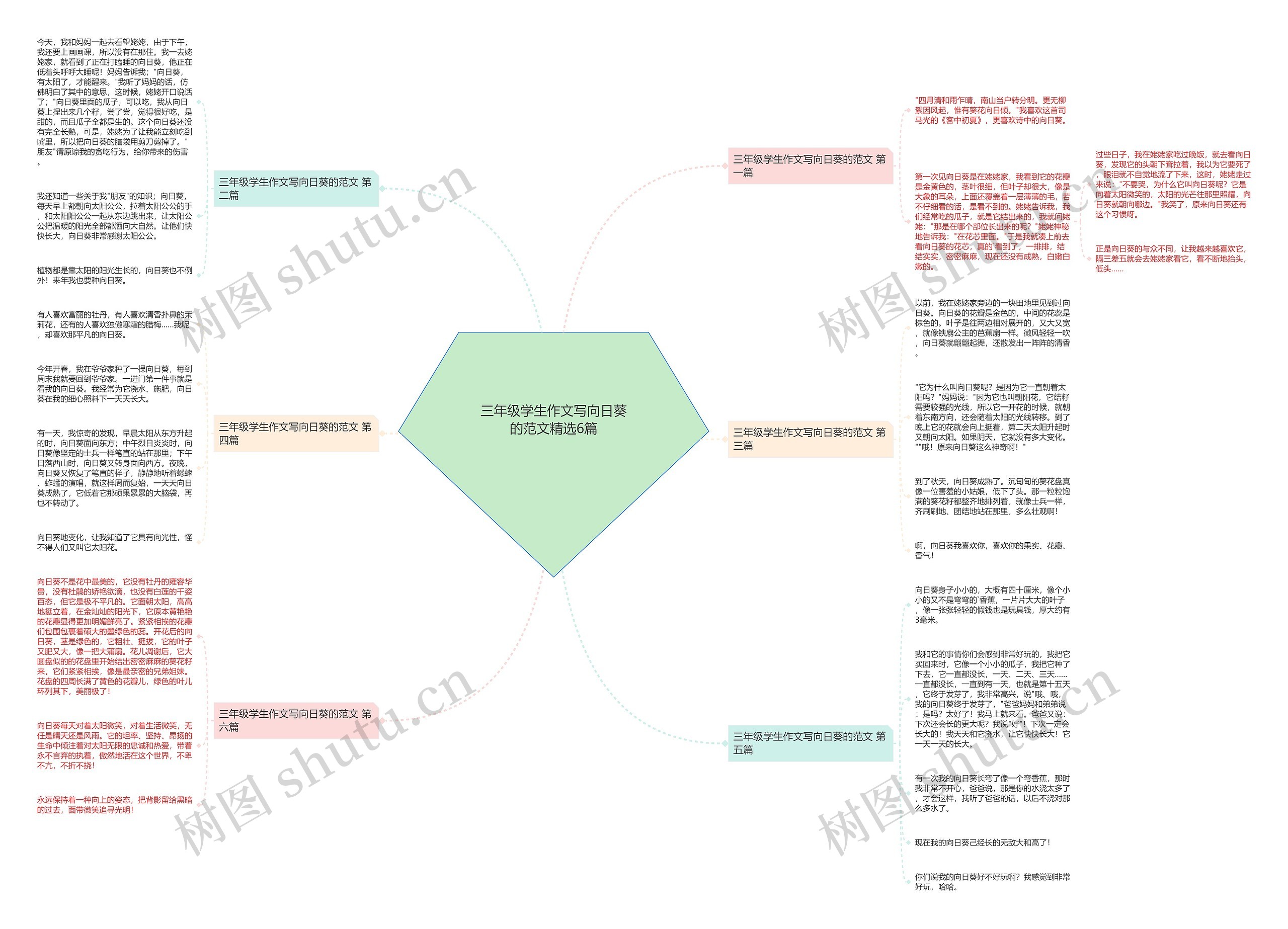 三年级学生作文写向日葵的范文精选6篇 三年级学生作文写向日葵的范文精选6篇