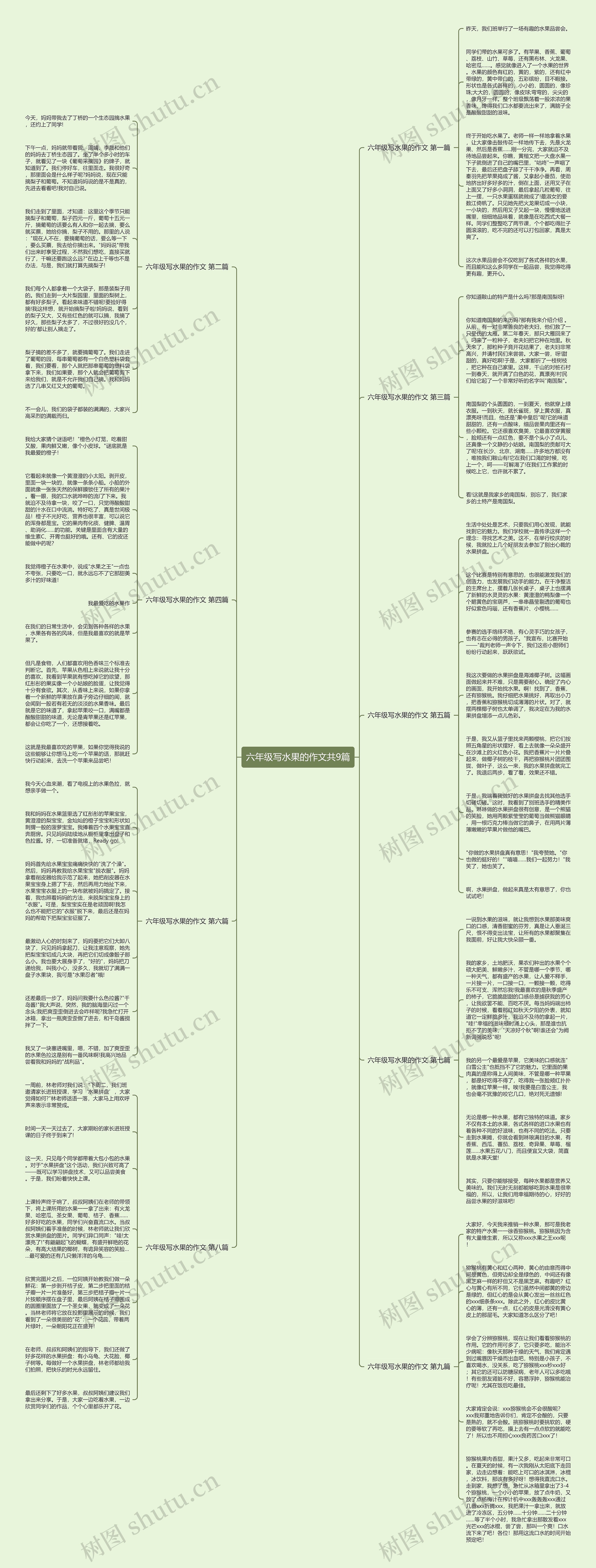 六年级写水果的作文共9篇思维导图