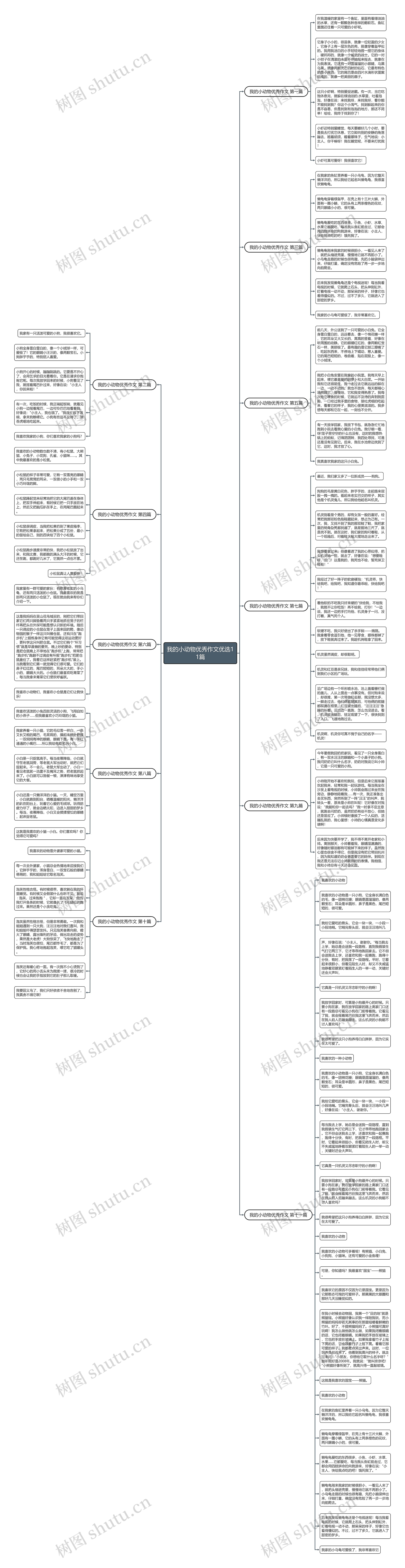 我的小动物优秀作文优选11篇思维导图