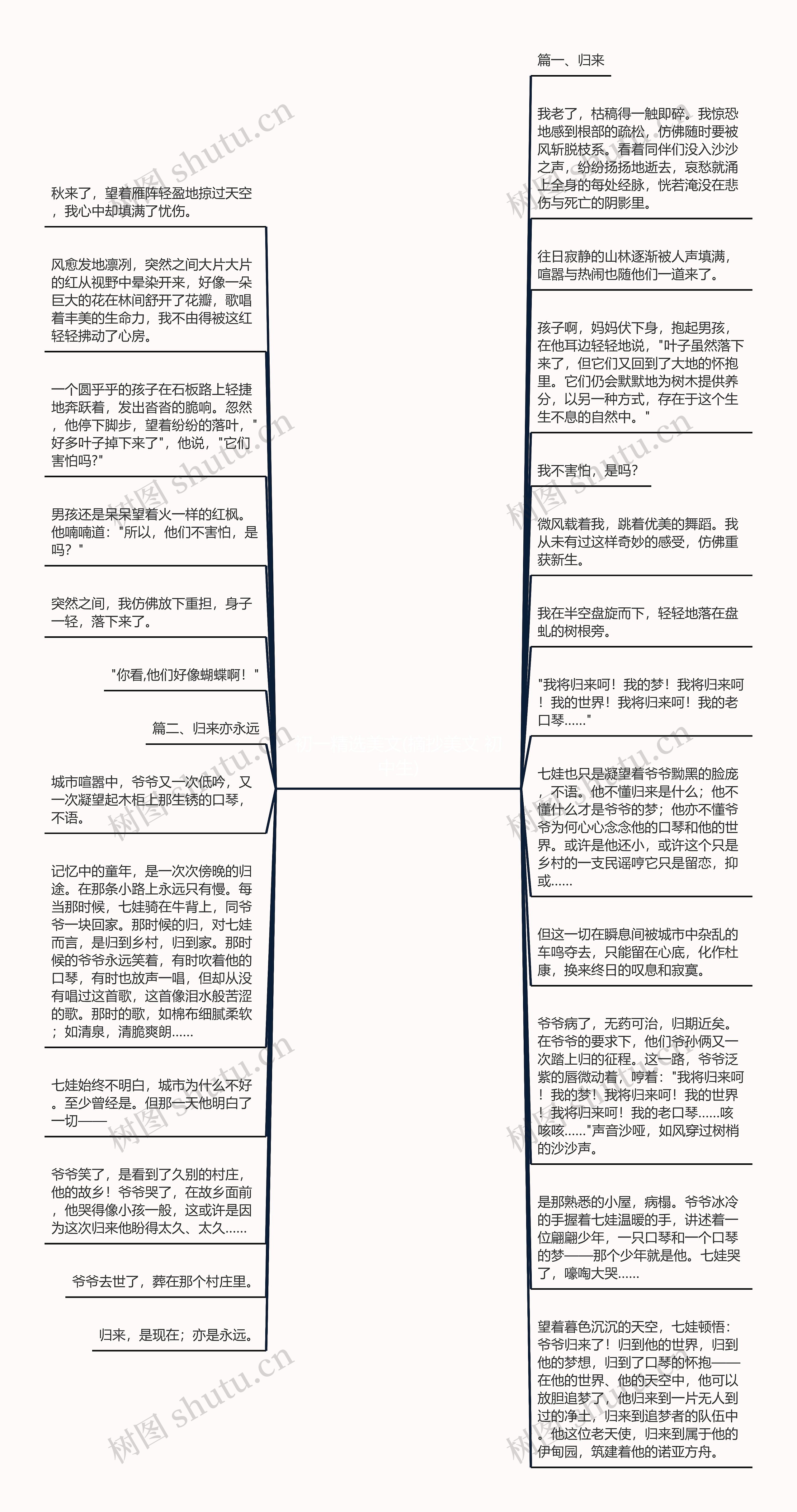 初一精选美文(摘抄美文 初中生)