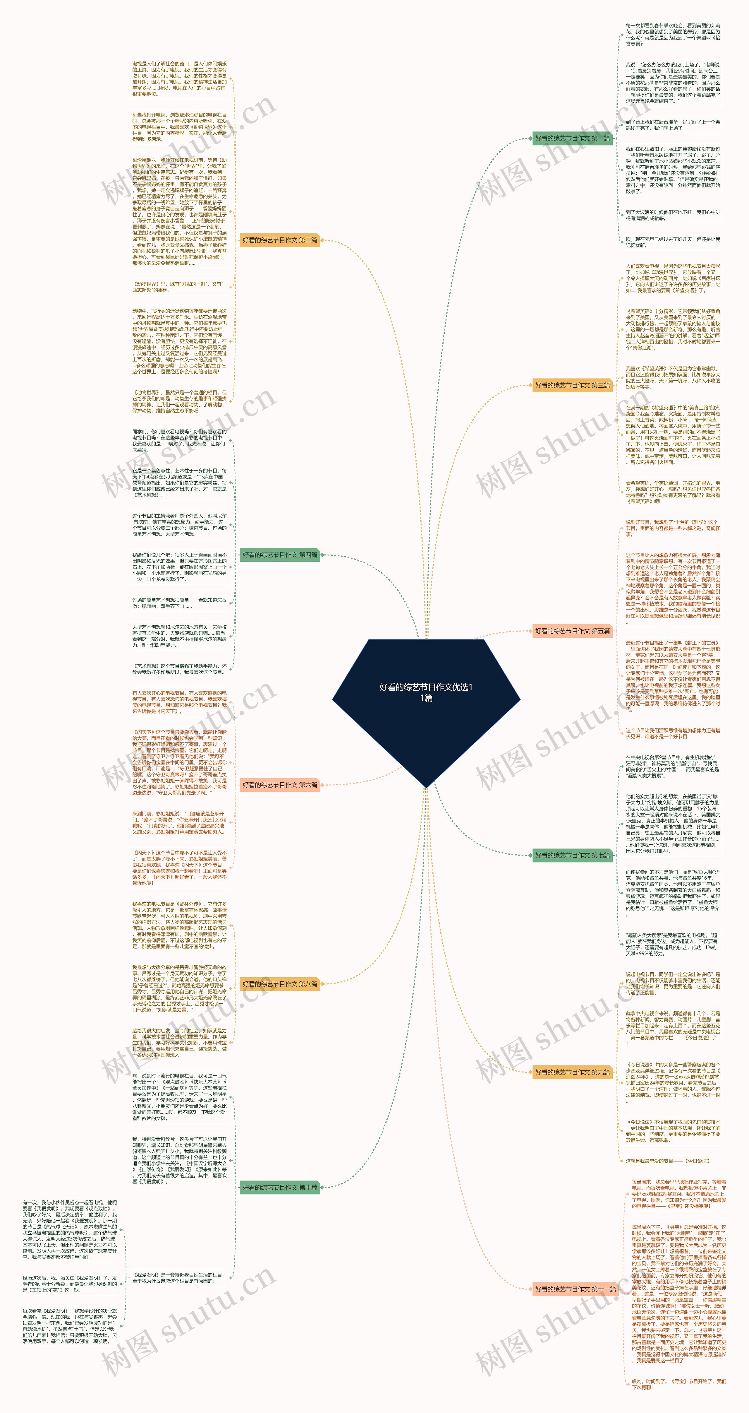 好看的综艺节目作文优选11篇思维导图