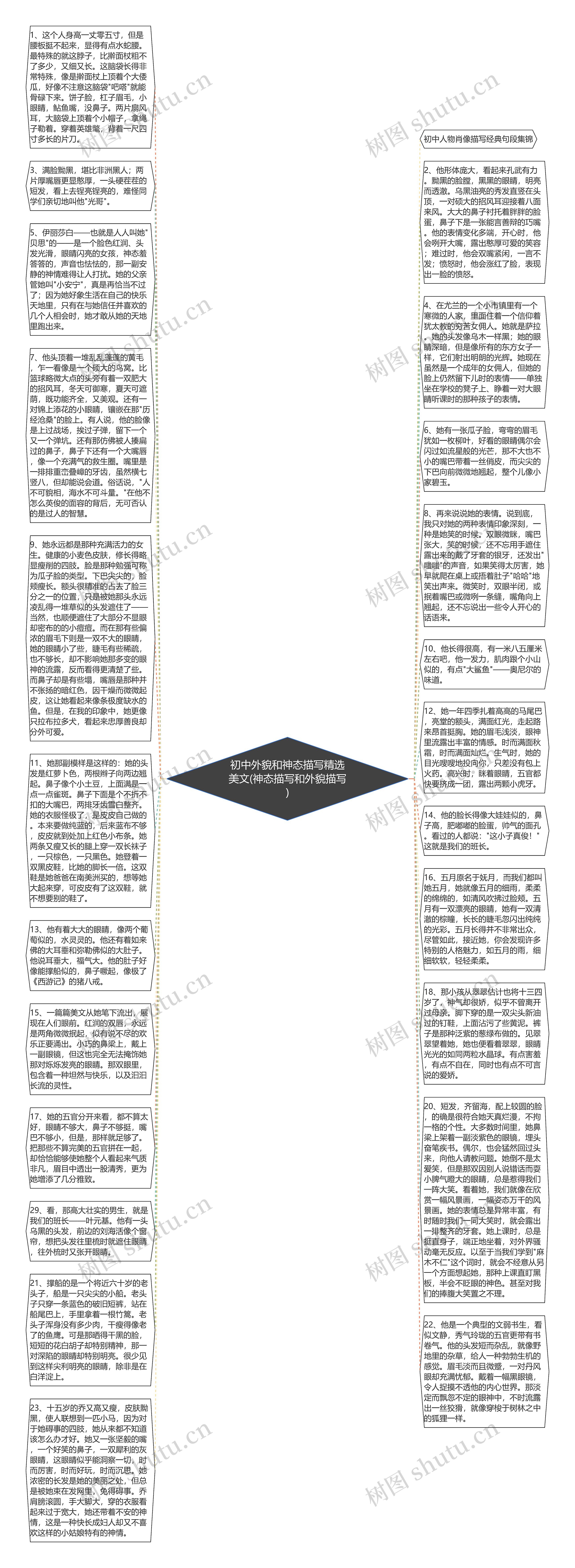 初中外貌和神态描写精选美文(神态描写和外貌描写)思维导图