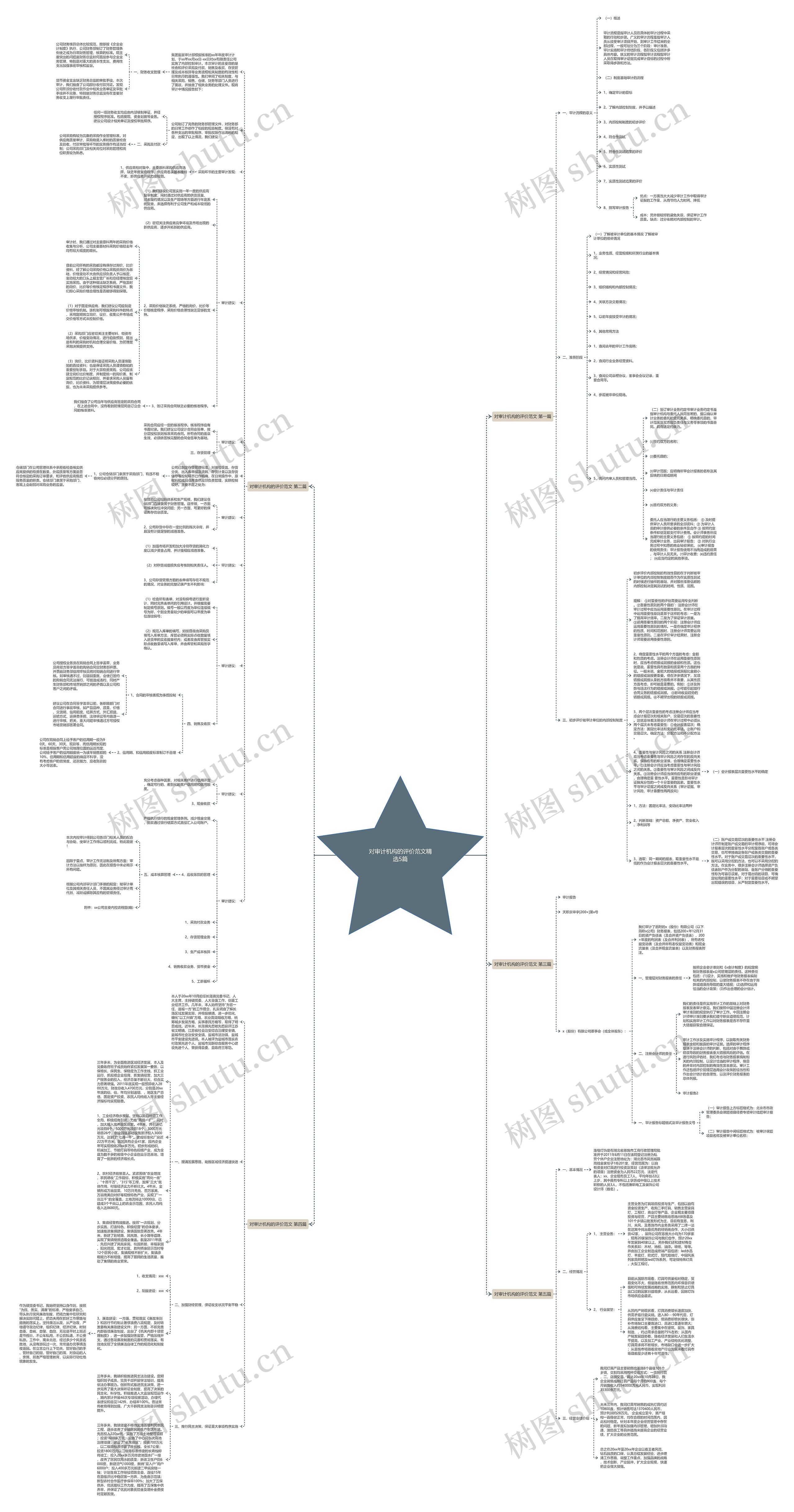 对审计机构的评价范文精选5篇思维导图