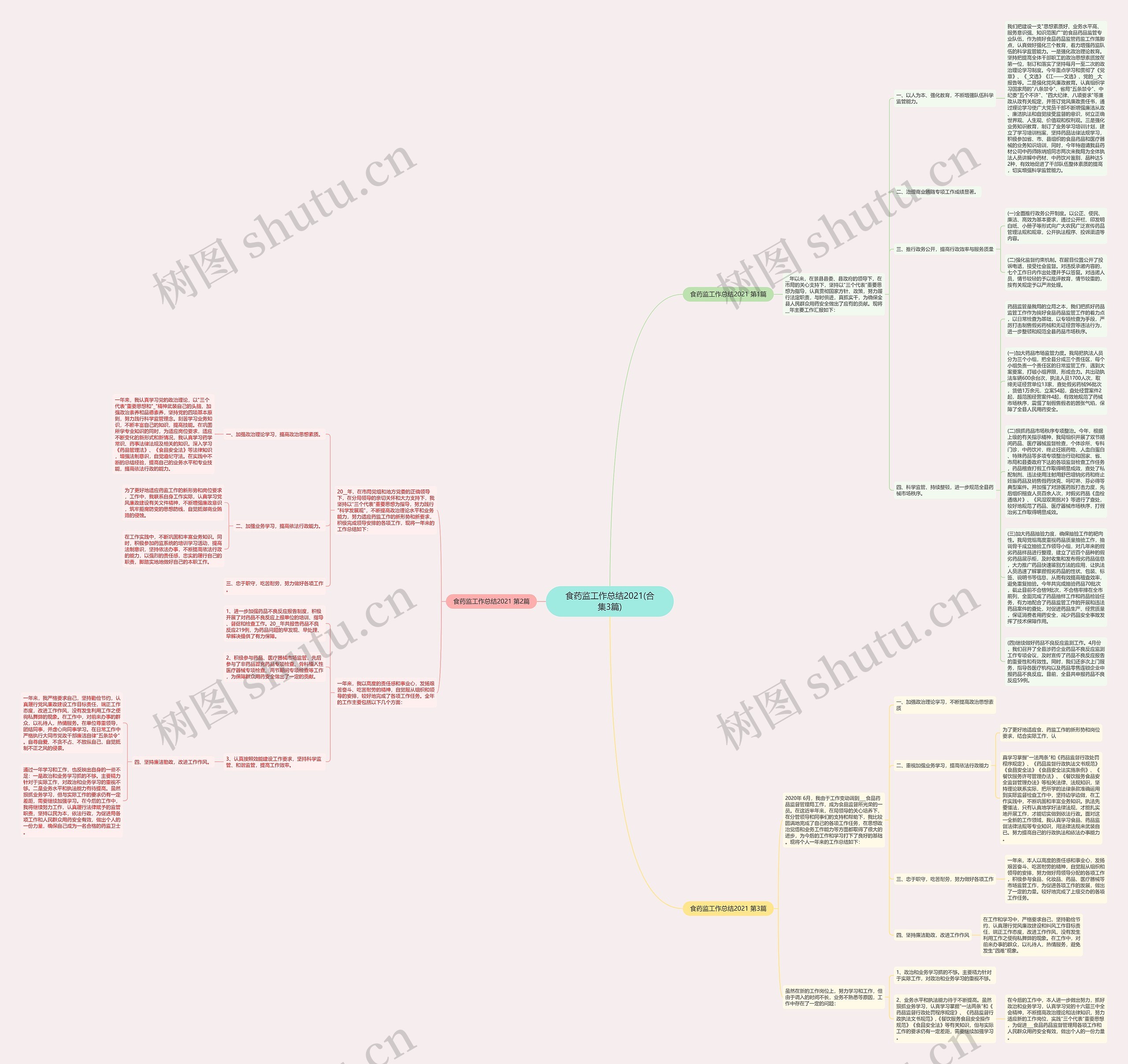 食药监工作总结2021(合集3篇)思维导图