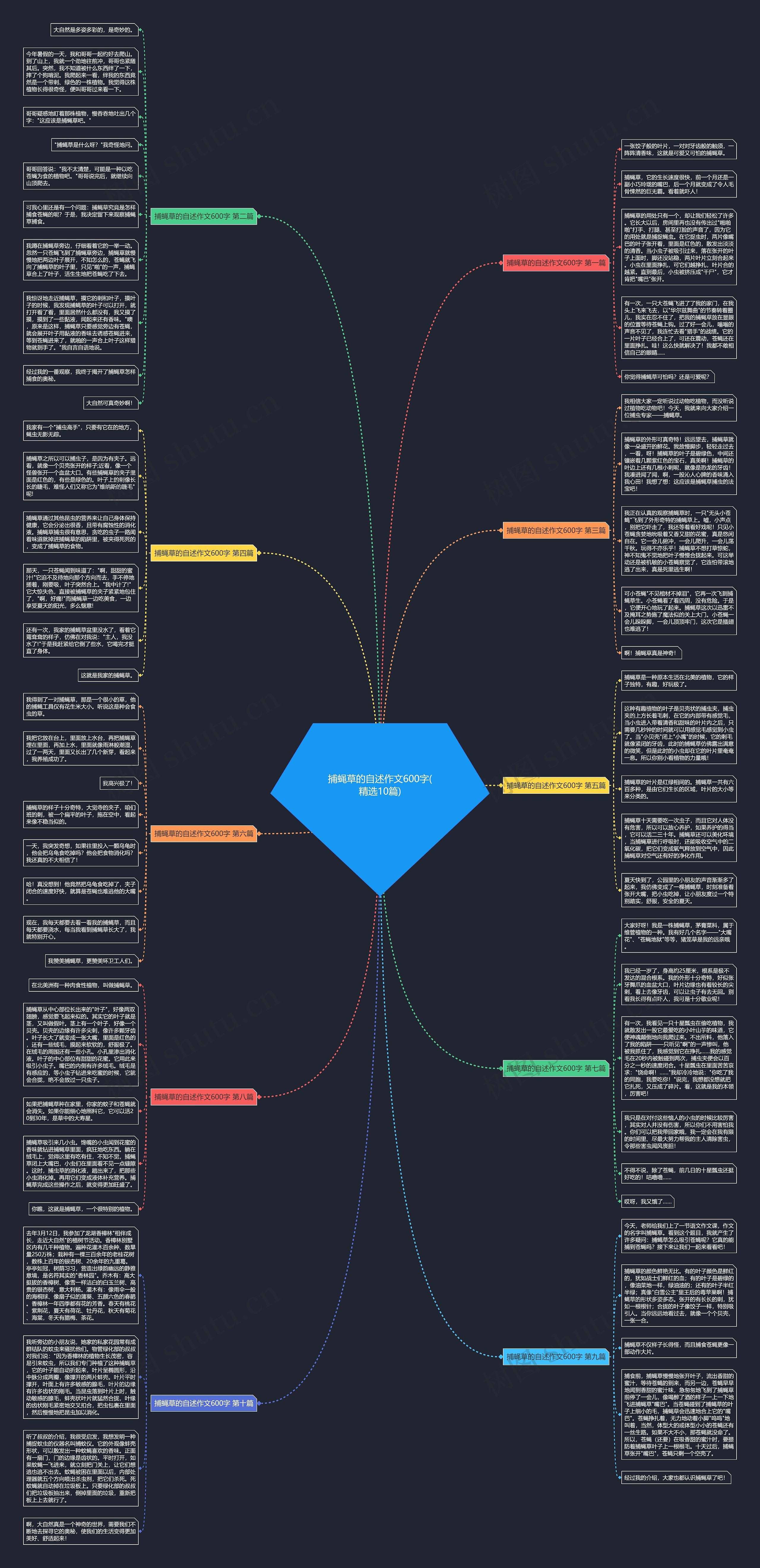 捕蝇草的自述作文600字(精选10篇)思维导图
