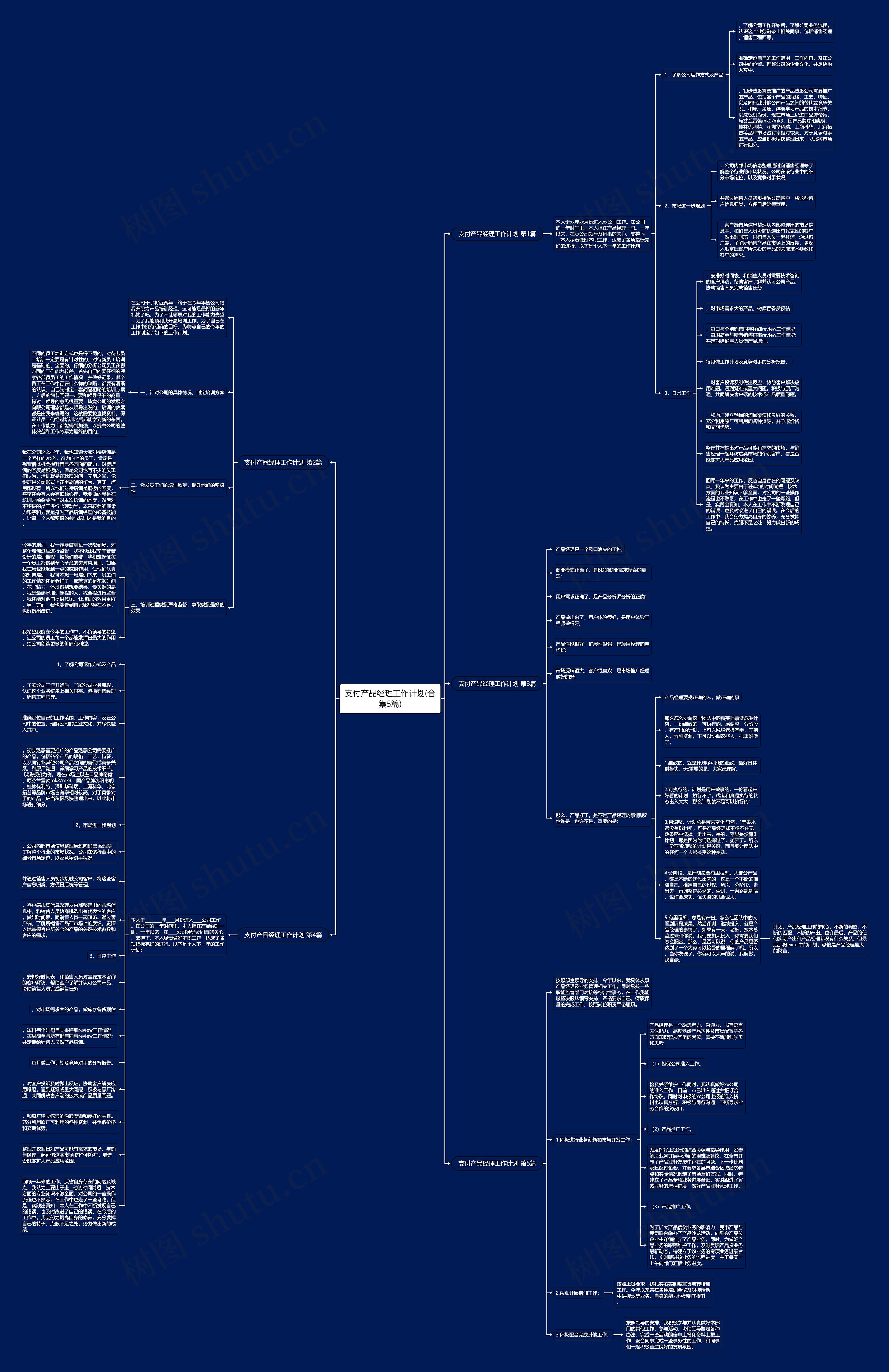 支付产品经理工作计划(合集5篇)思维导图