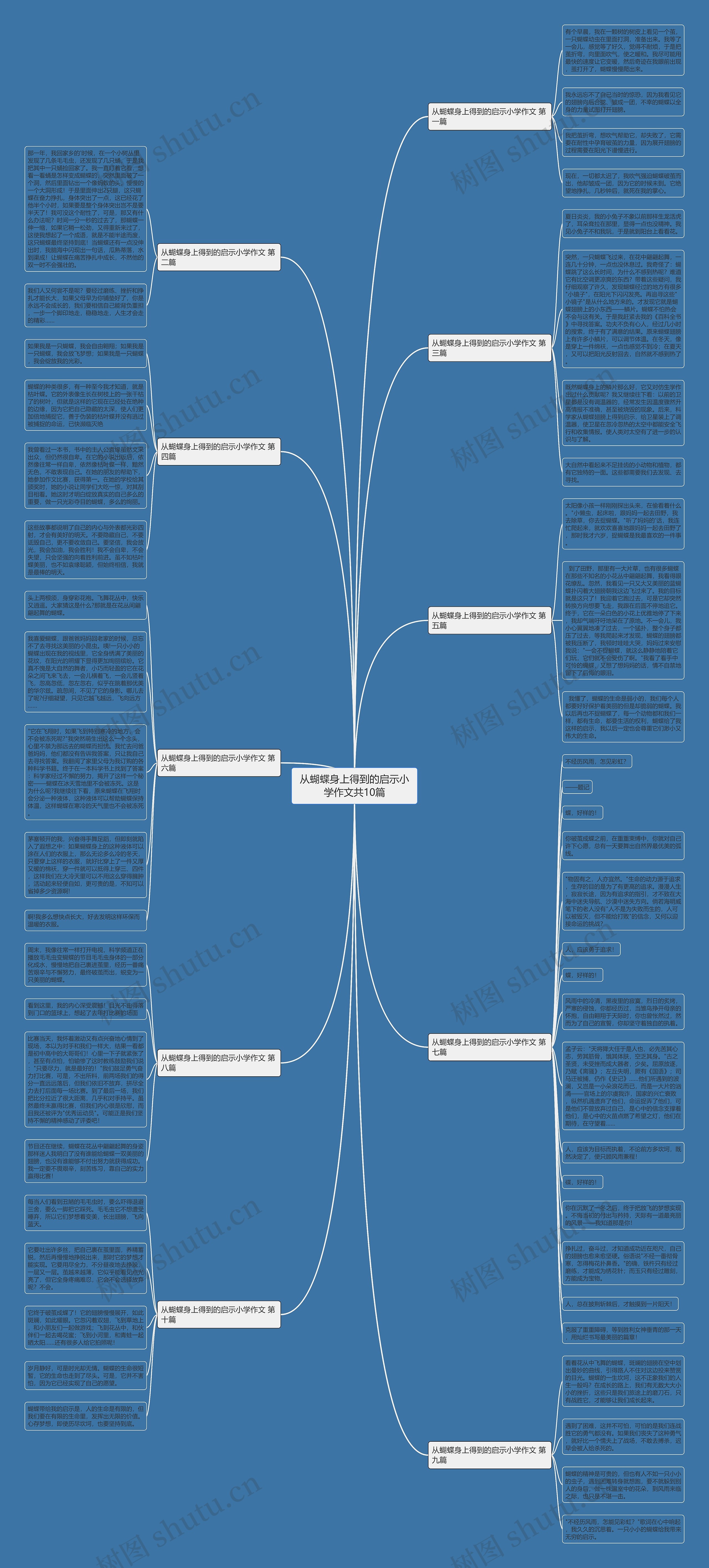 从蝴蝶身上得到的启示小学作文共10篇思维导图