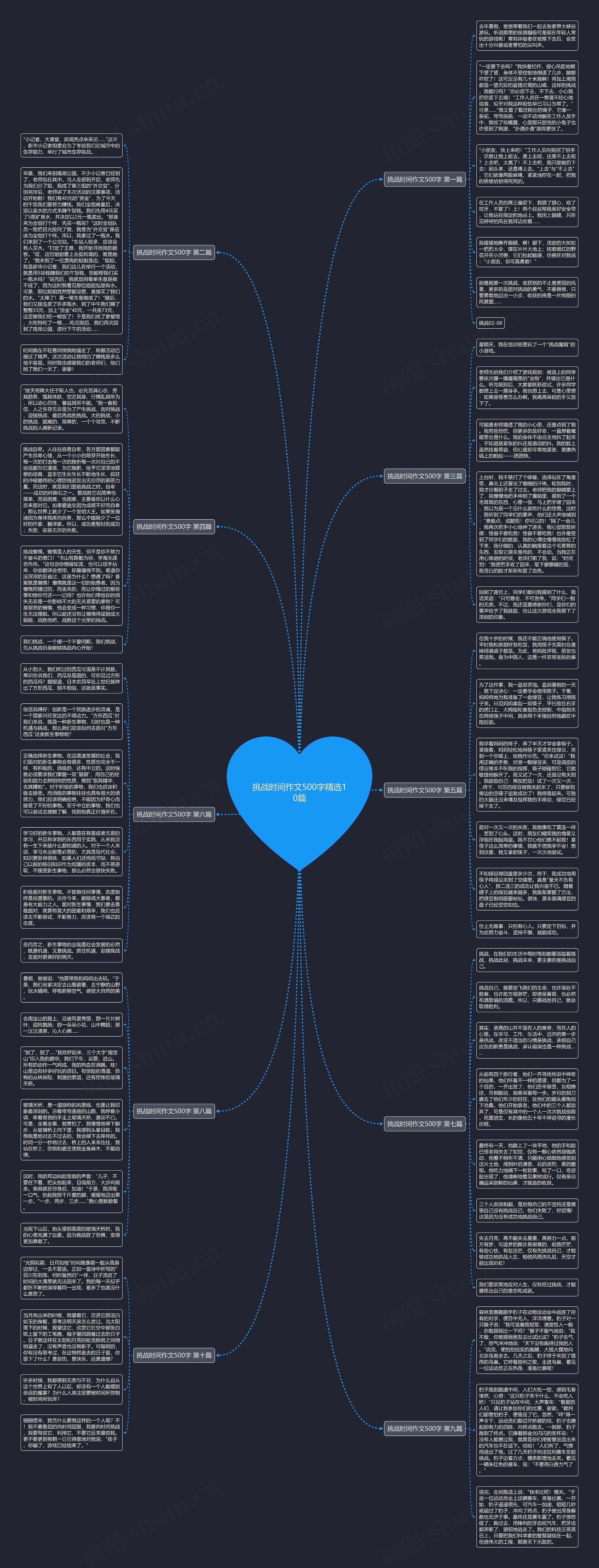 挑战时间作文500字精选10篇思维导图
