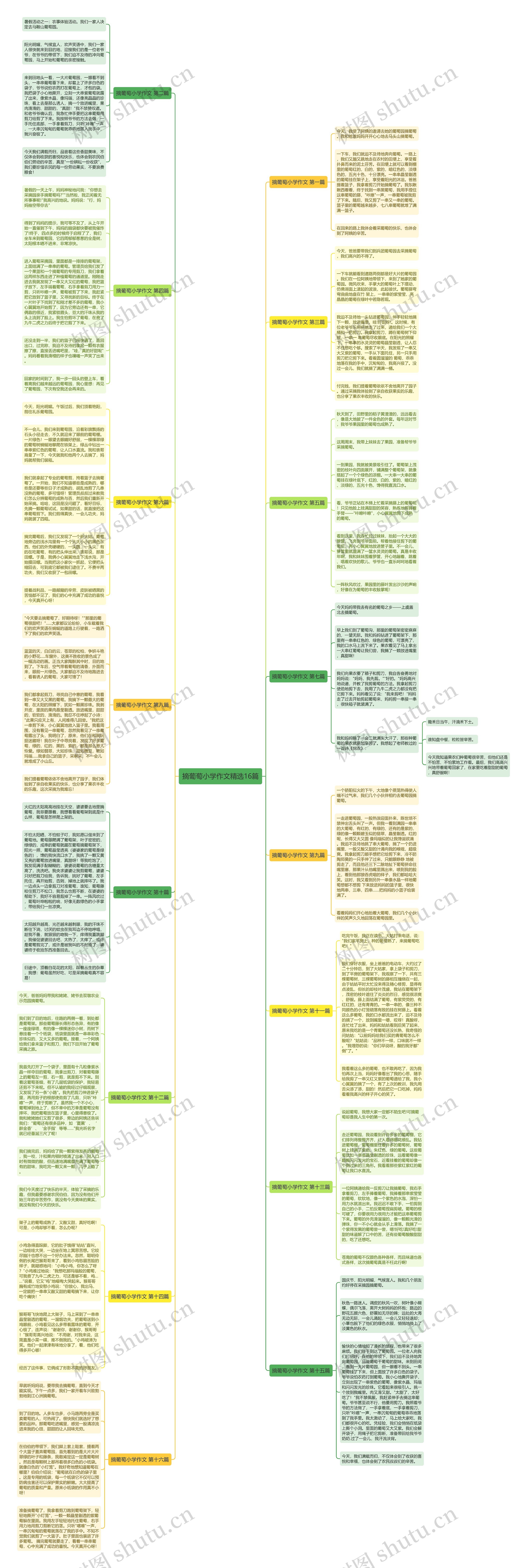 摘葡萄小学作文精选16篇思维导图