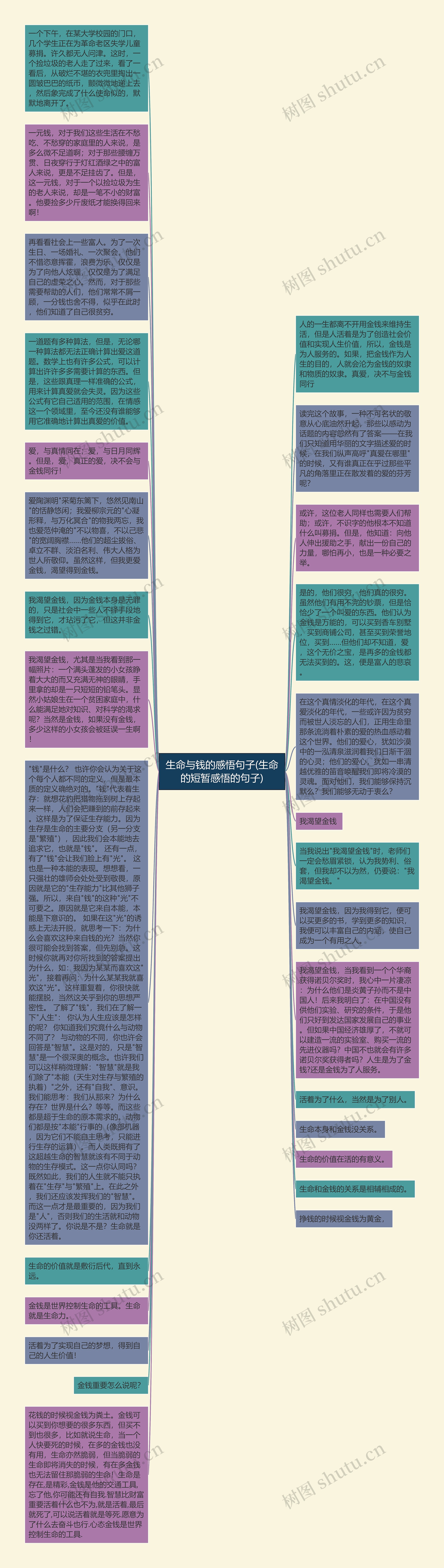 生命与钱的感悟句子(生命的短暂感悟的句子)思维导图