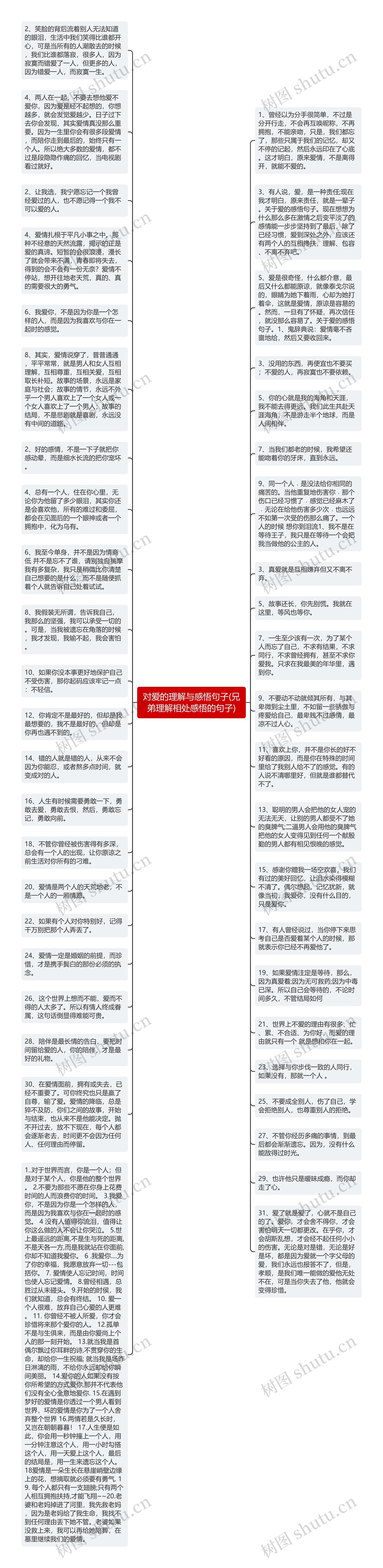 对爱的理解与感悟句子(兄弟理解相处感悟的句子)思维导图