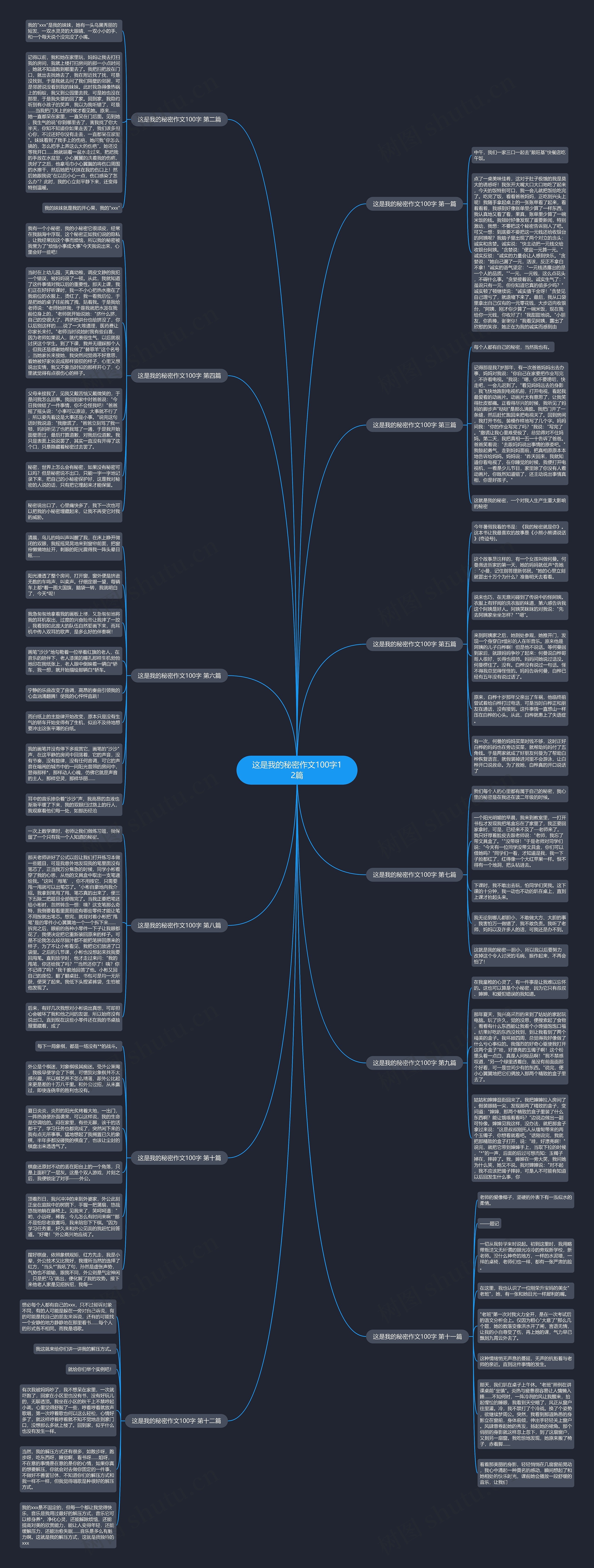 这是我的秘密作文100字12篇思维导图