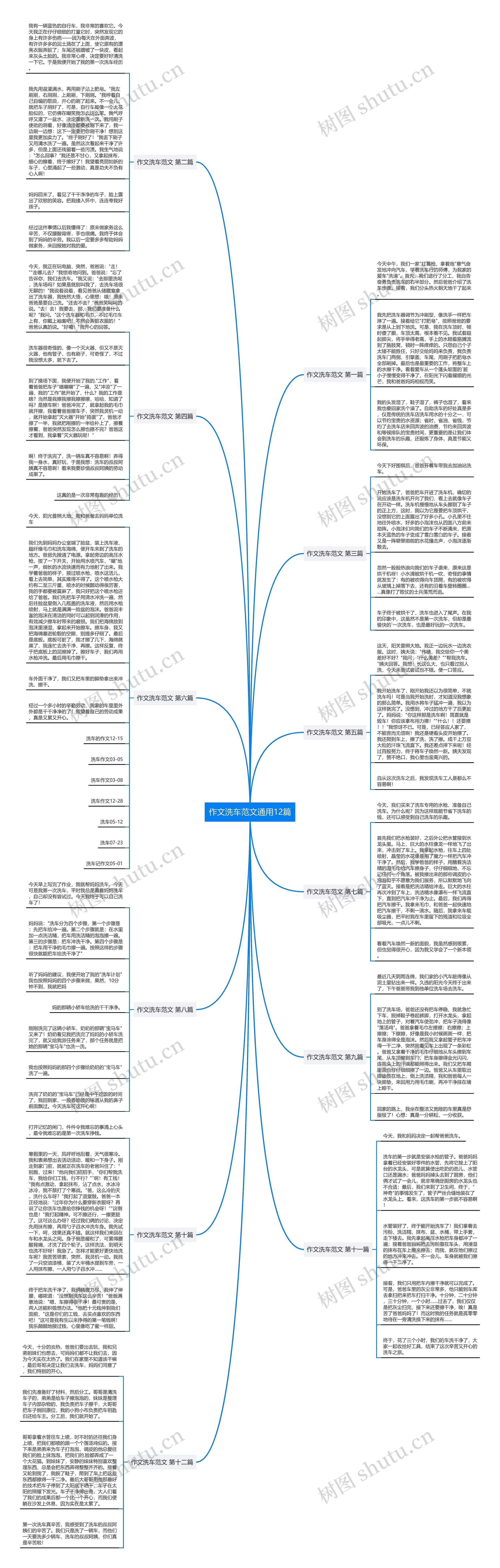 作文洗车范文通用12篇