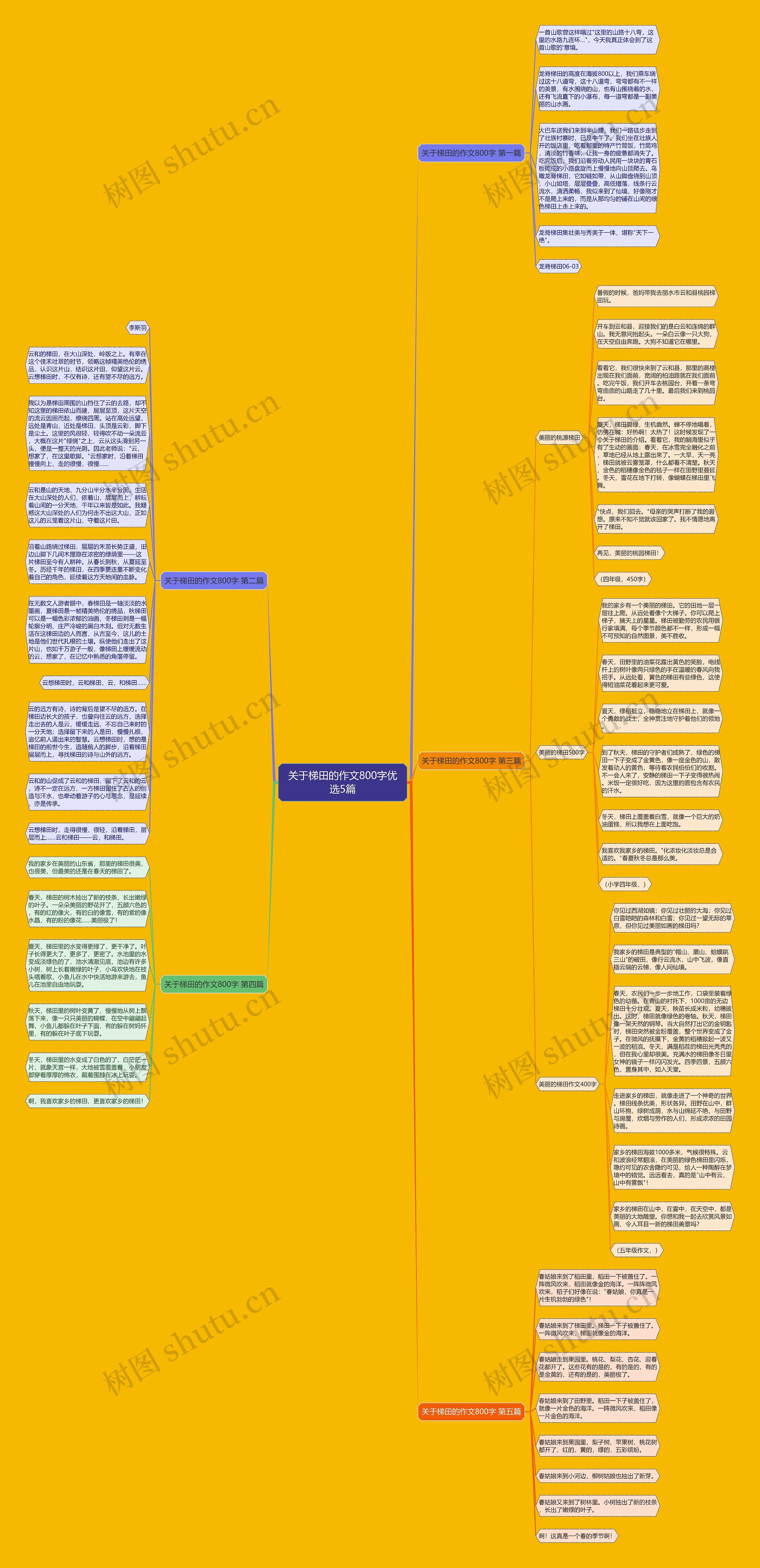 关于梯田的作文800字优选5篇思维导图