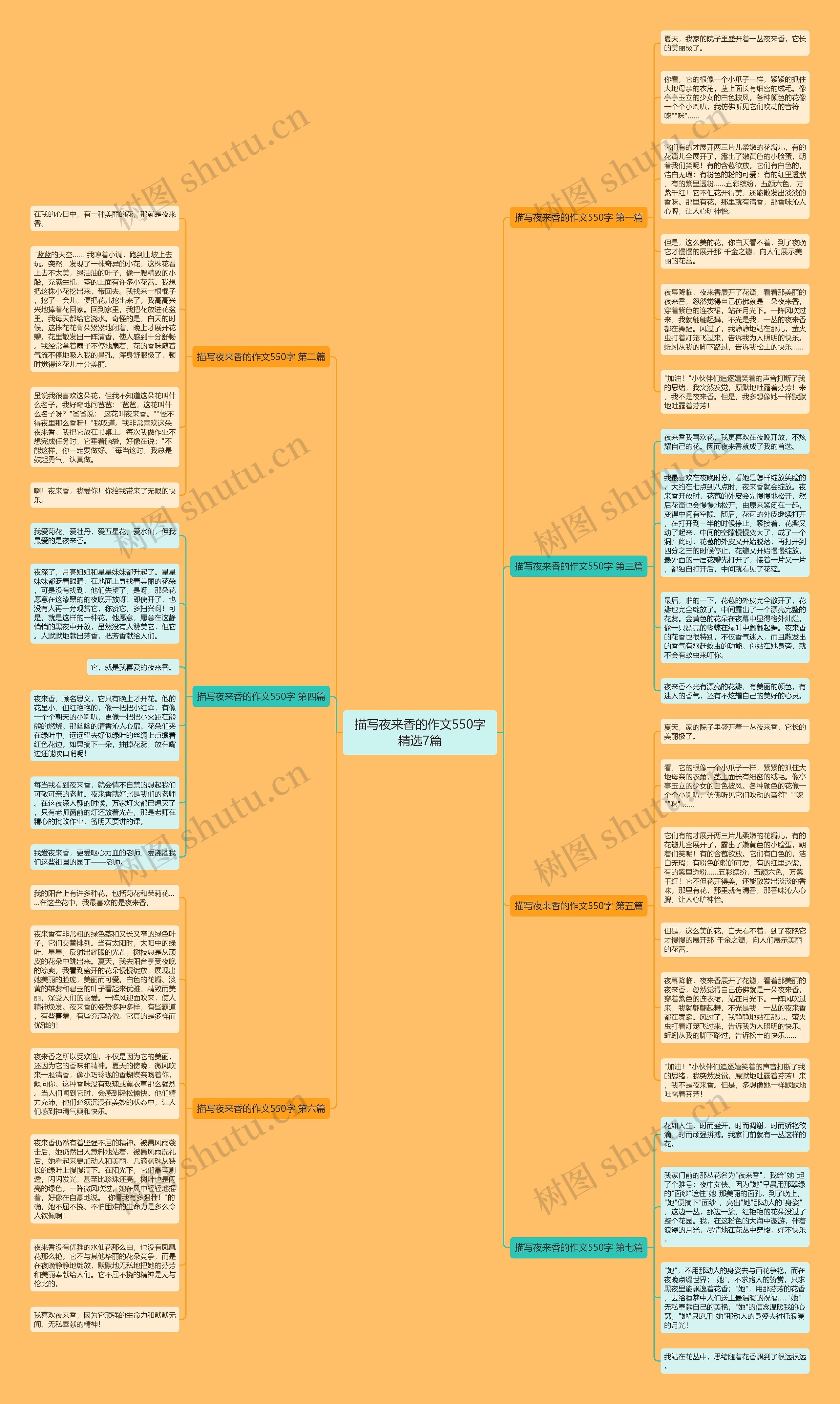 描写夜来香的作文550字精选7篇思维导图