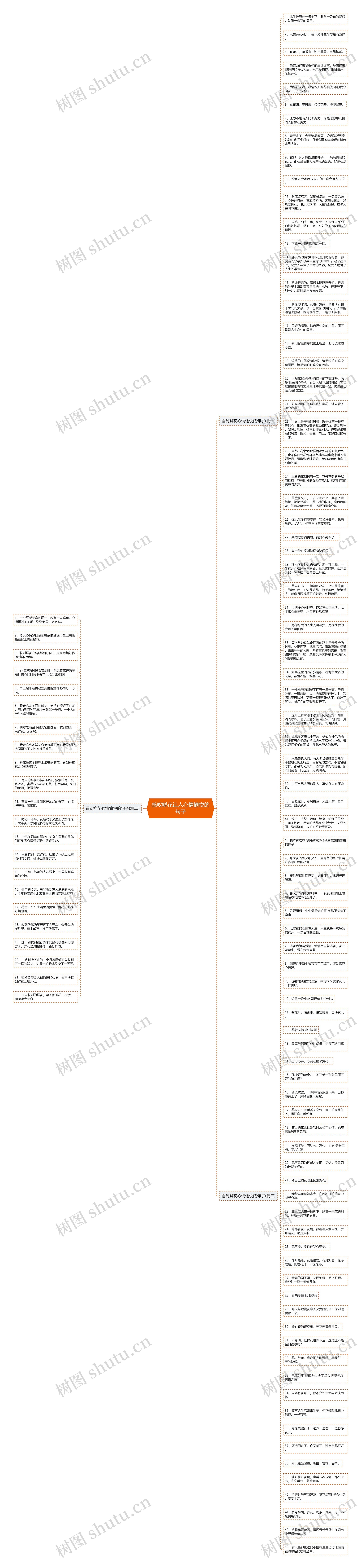 感叹鲜花让人心情愉悦的句子思维导图