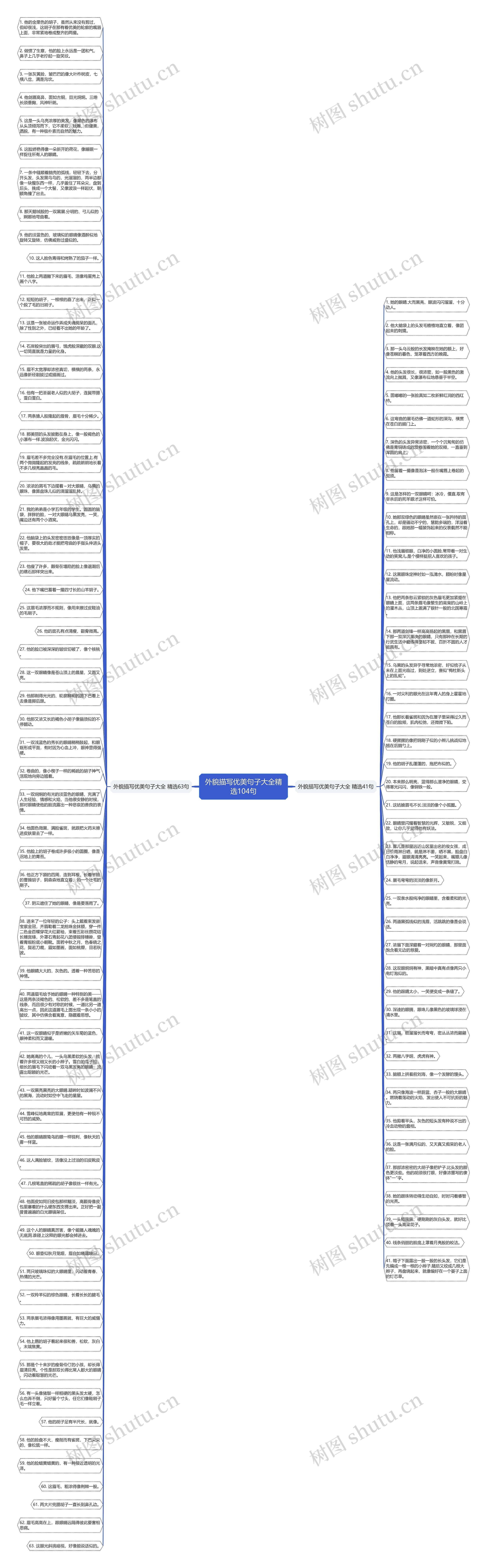 外貌描写优美句子大全精选104句思维导图