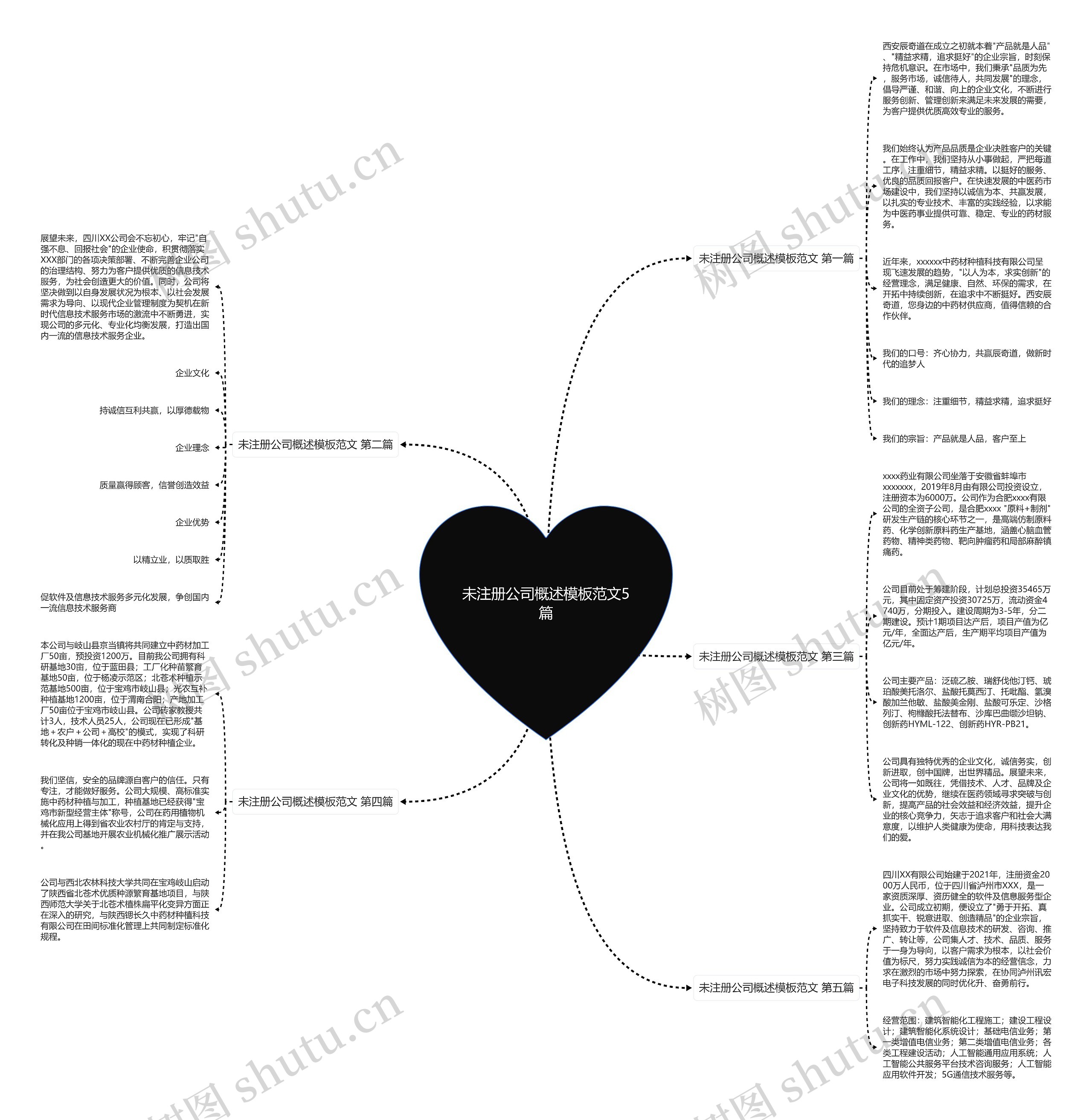 未注册公司概述模板范文5篇