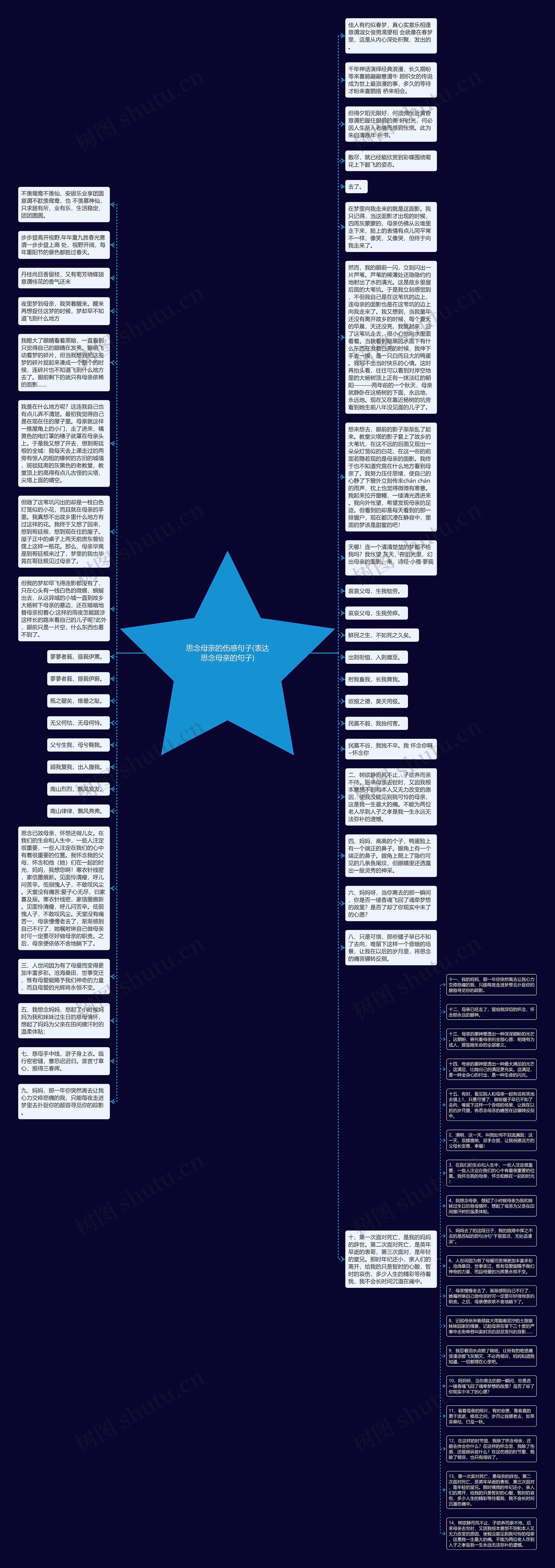 思念母亲的伤感句子(表达思念母亲的句子)思维导图