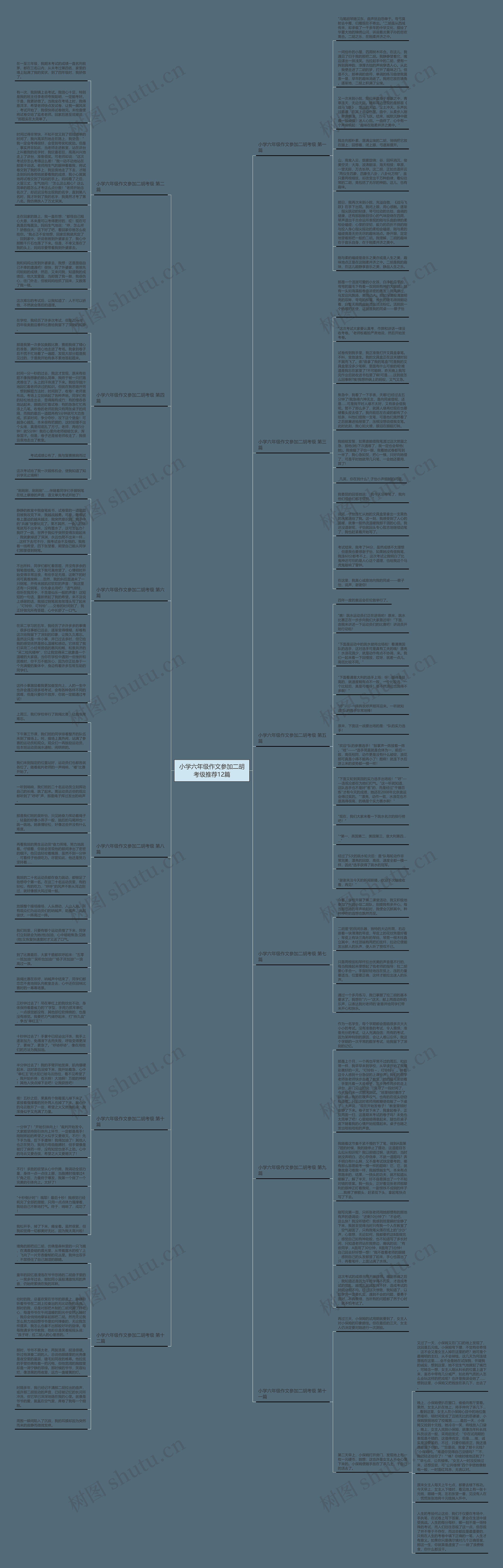 小学六年级作文参加二胡考级推荐12篇思维导图