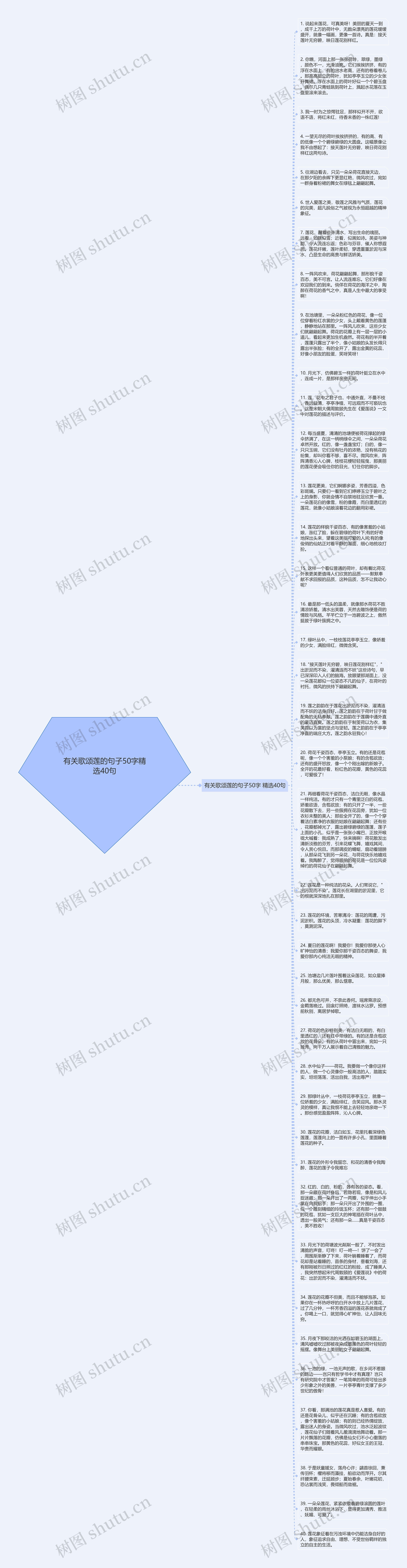 有关歌颂莲的句子50字精选40句思维导图