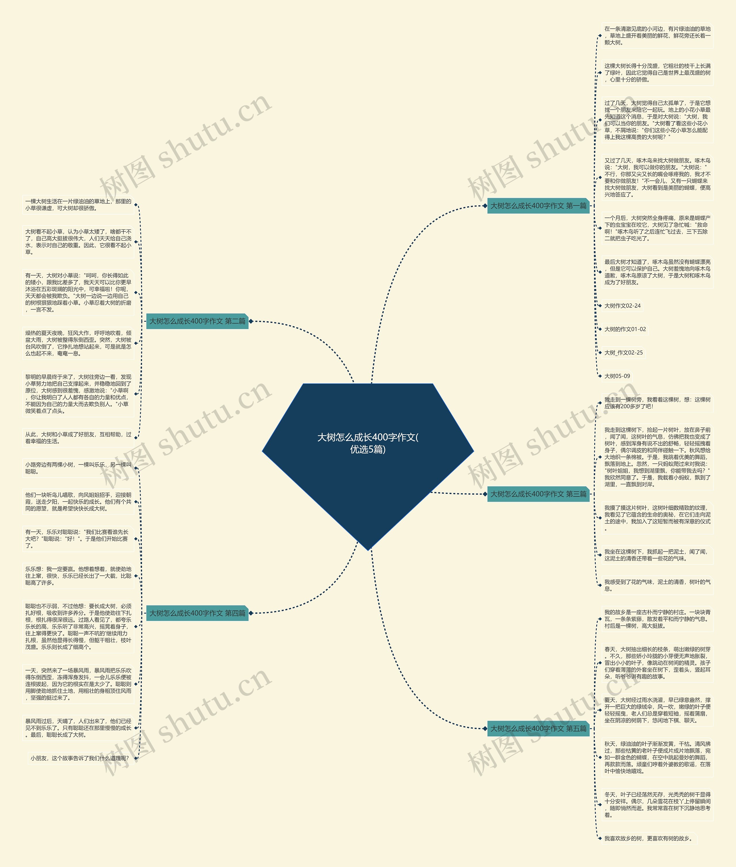 大树怎么成长400字作文(优选5篇)思维导图