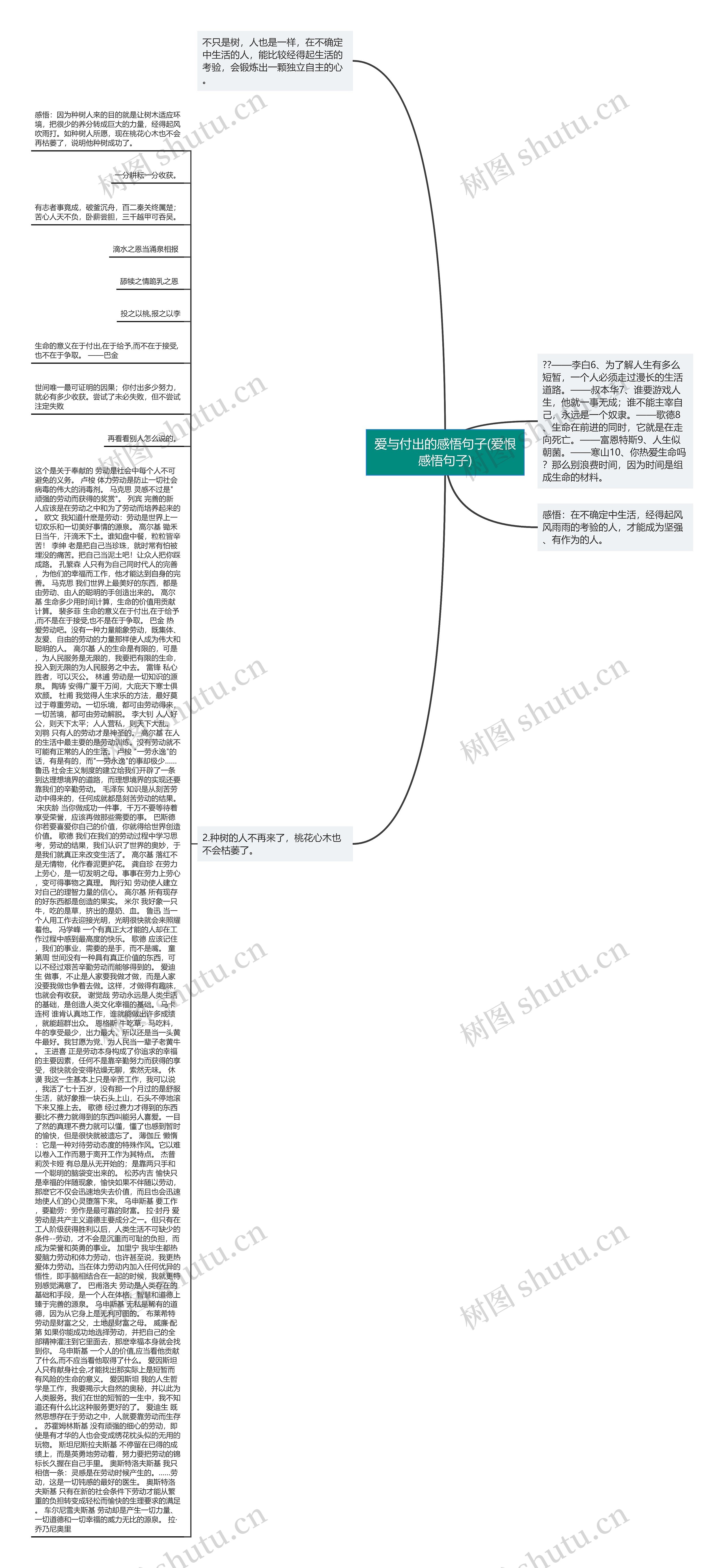 爱与付出的感悟句子(爱恨感悟句子)思维导图