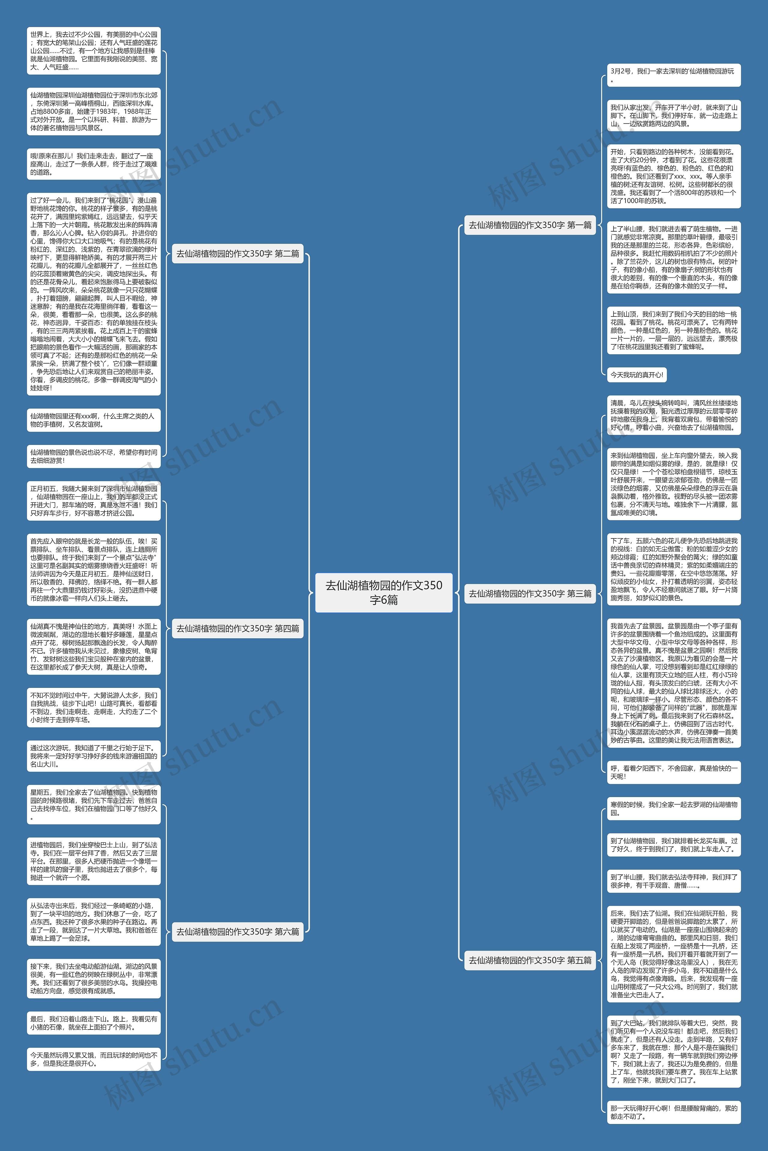 去仙湖植物园的作文350字6篇思维导图