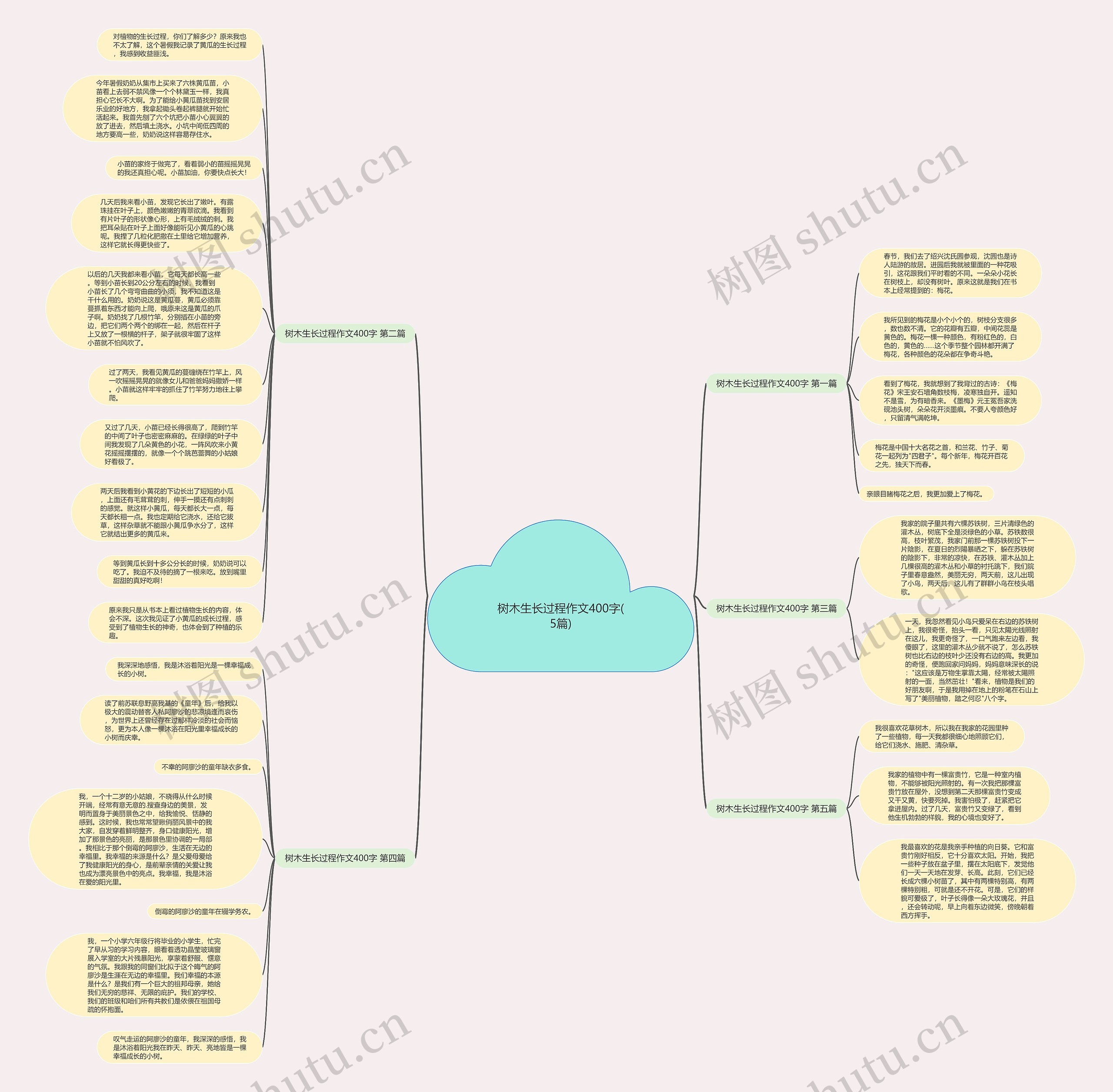 树木生长过程作文400字(5篇)思维导图