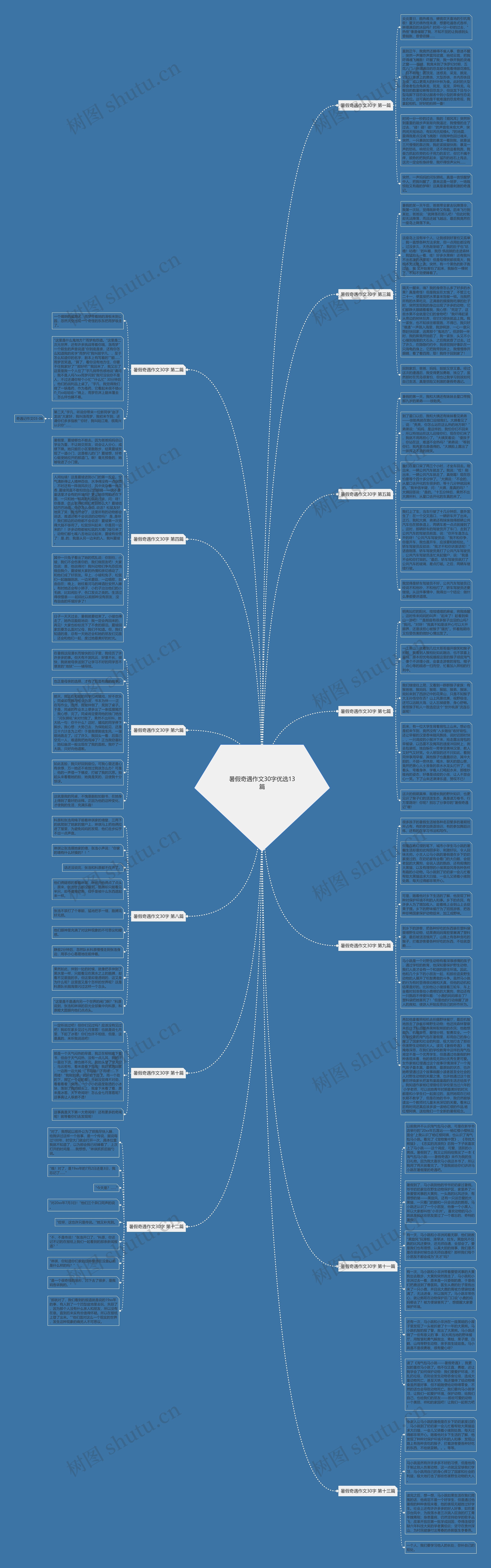 暑假奇遇作文30字优选13篇思维导图