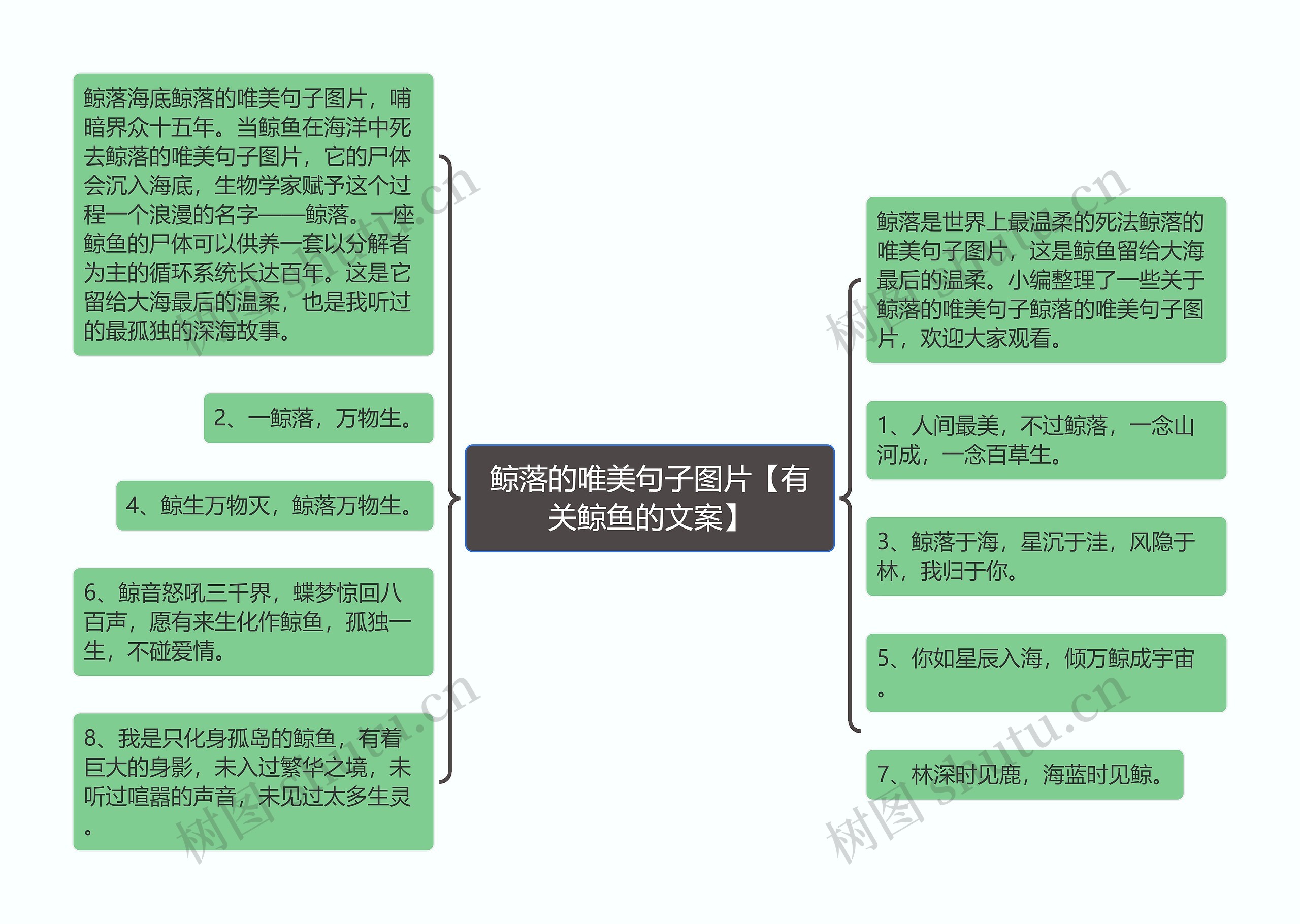 鲸落的唯美句子图片【有关鲸鱼的文案】