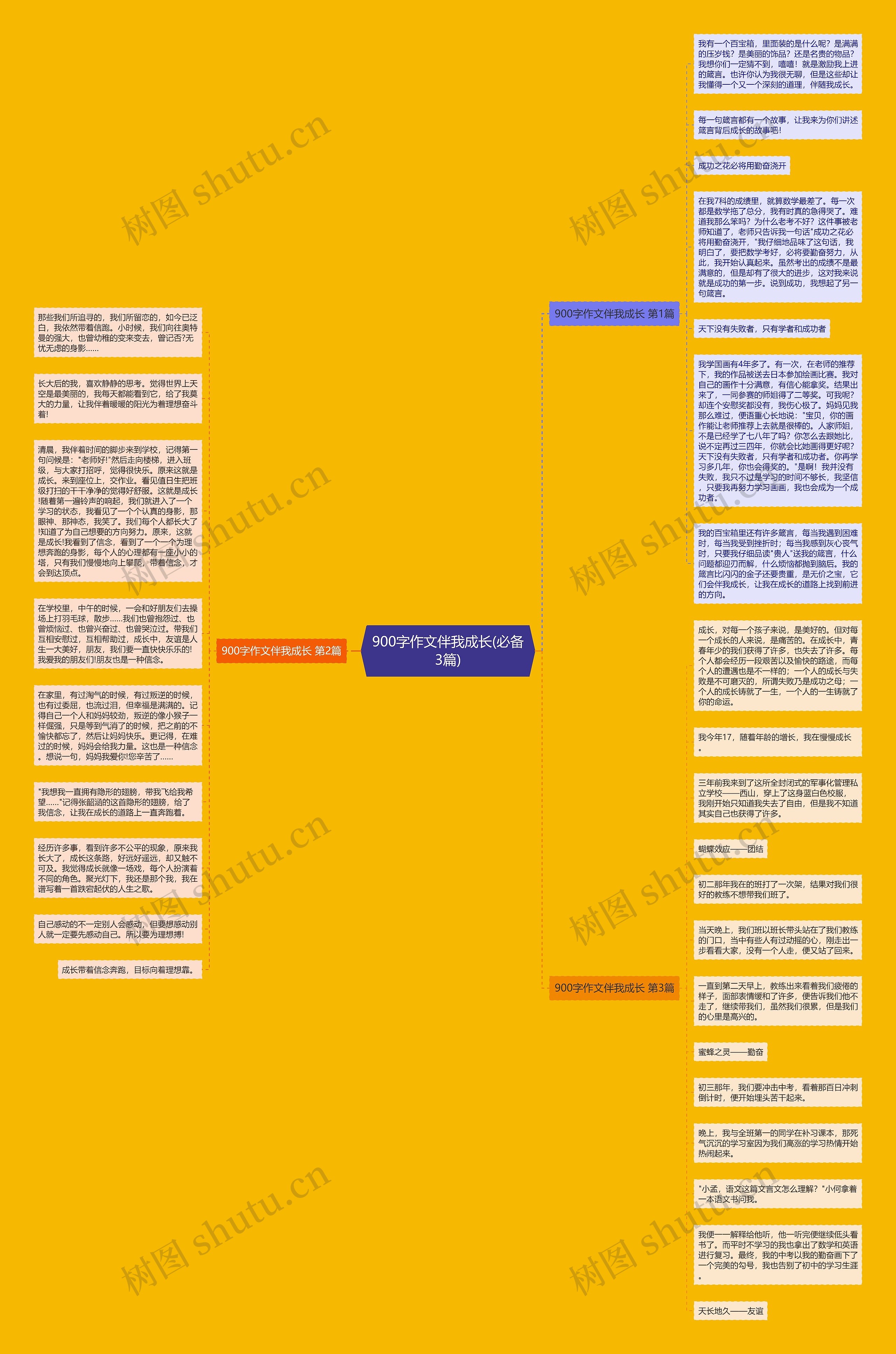 900字作文伴我成长(必备3篇)思维导图