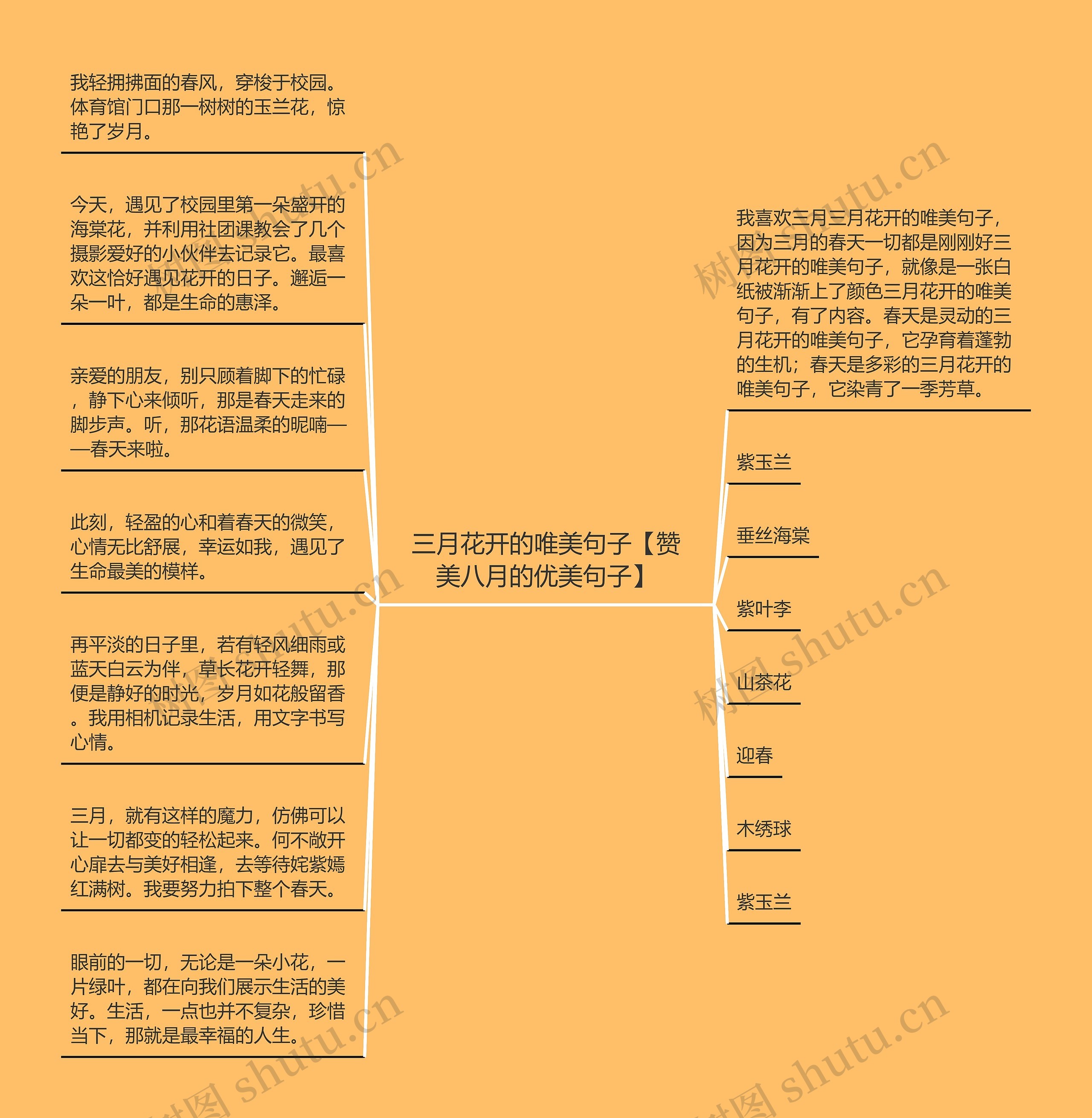 三月花开的唯美句子【赞美八月的优美句子】思维导图