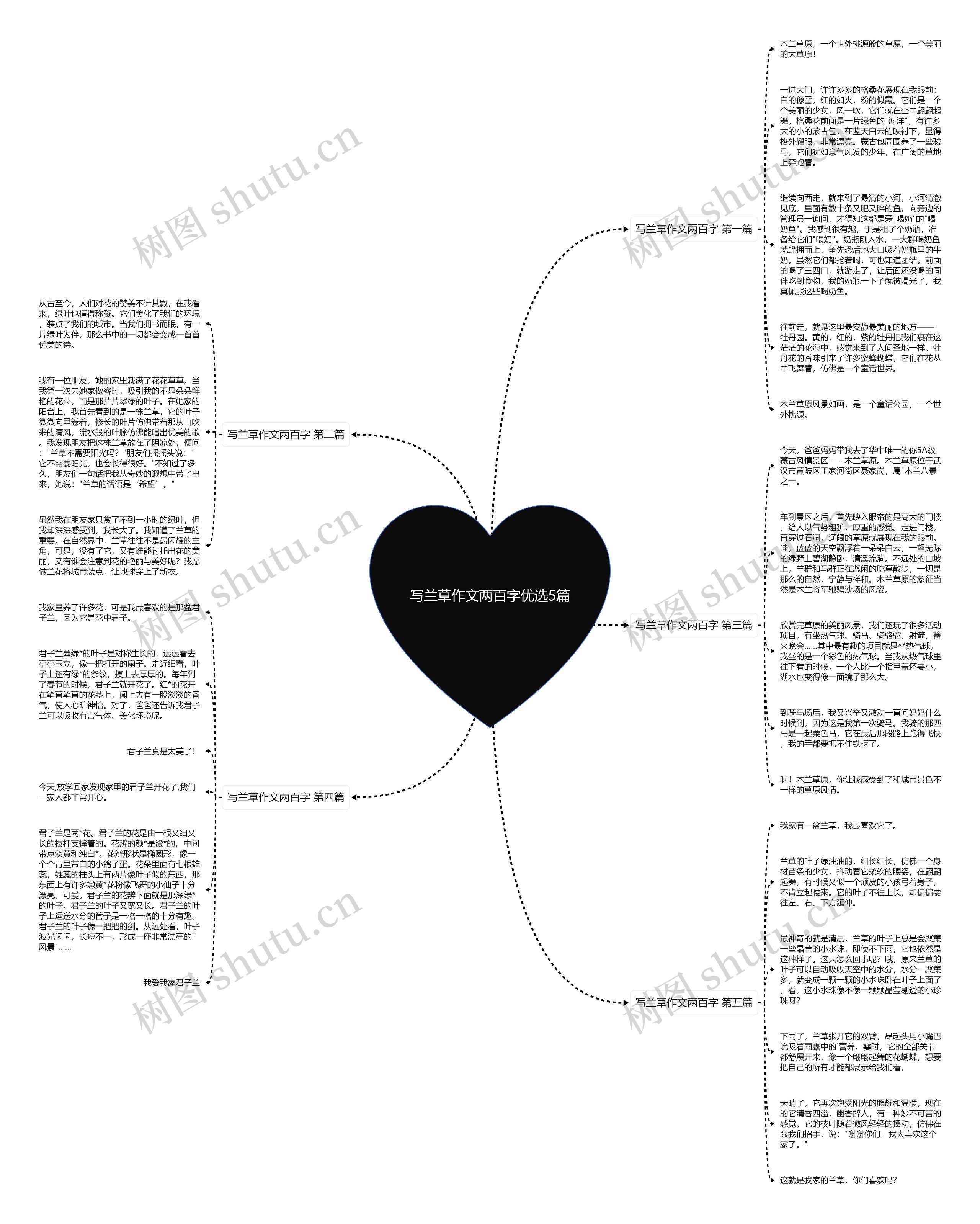 写兰草作文两百字优选5篇思维导图