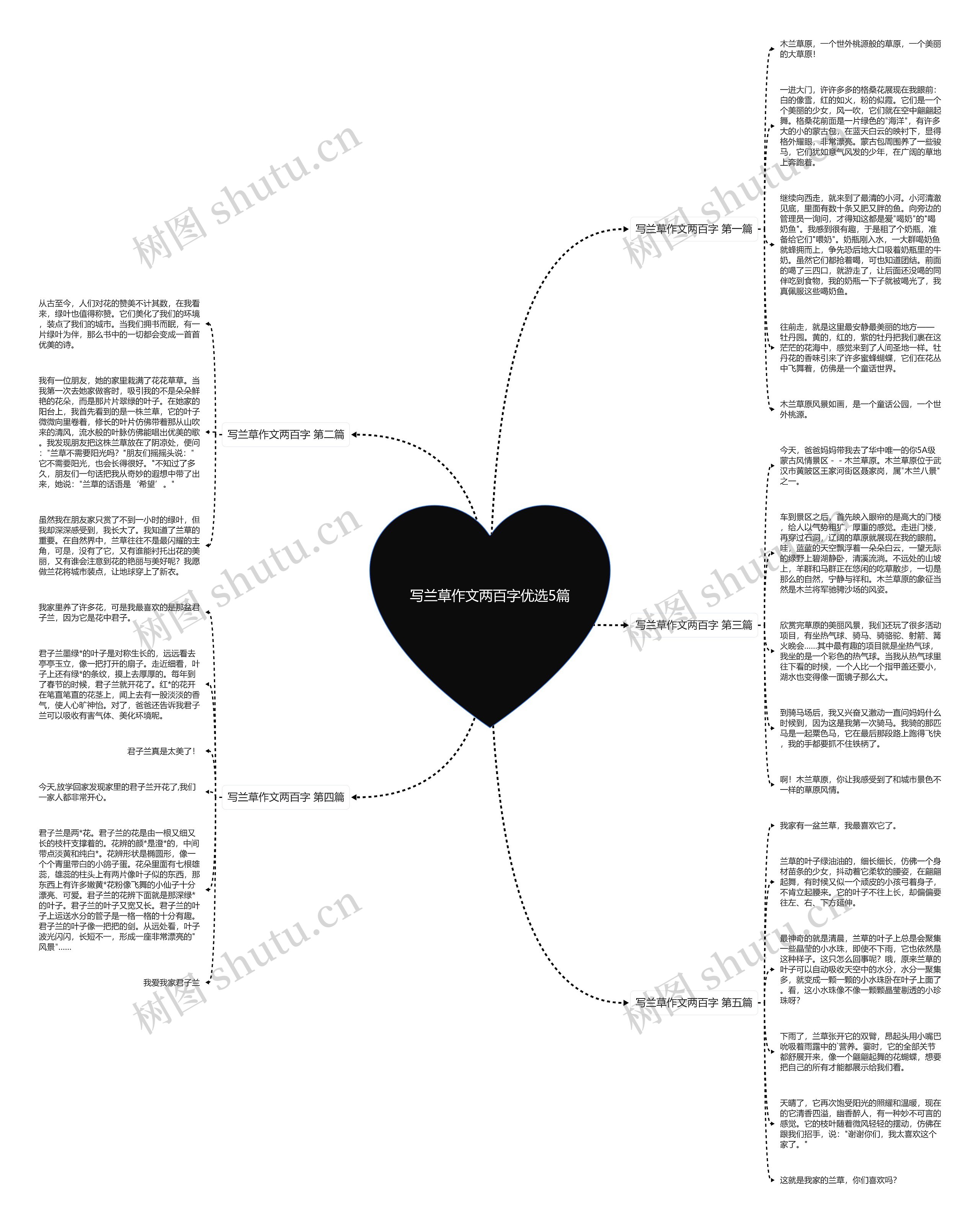 写兰草作文两百字优选5篇 写兰草作文两百字优选5篇