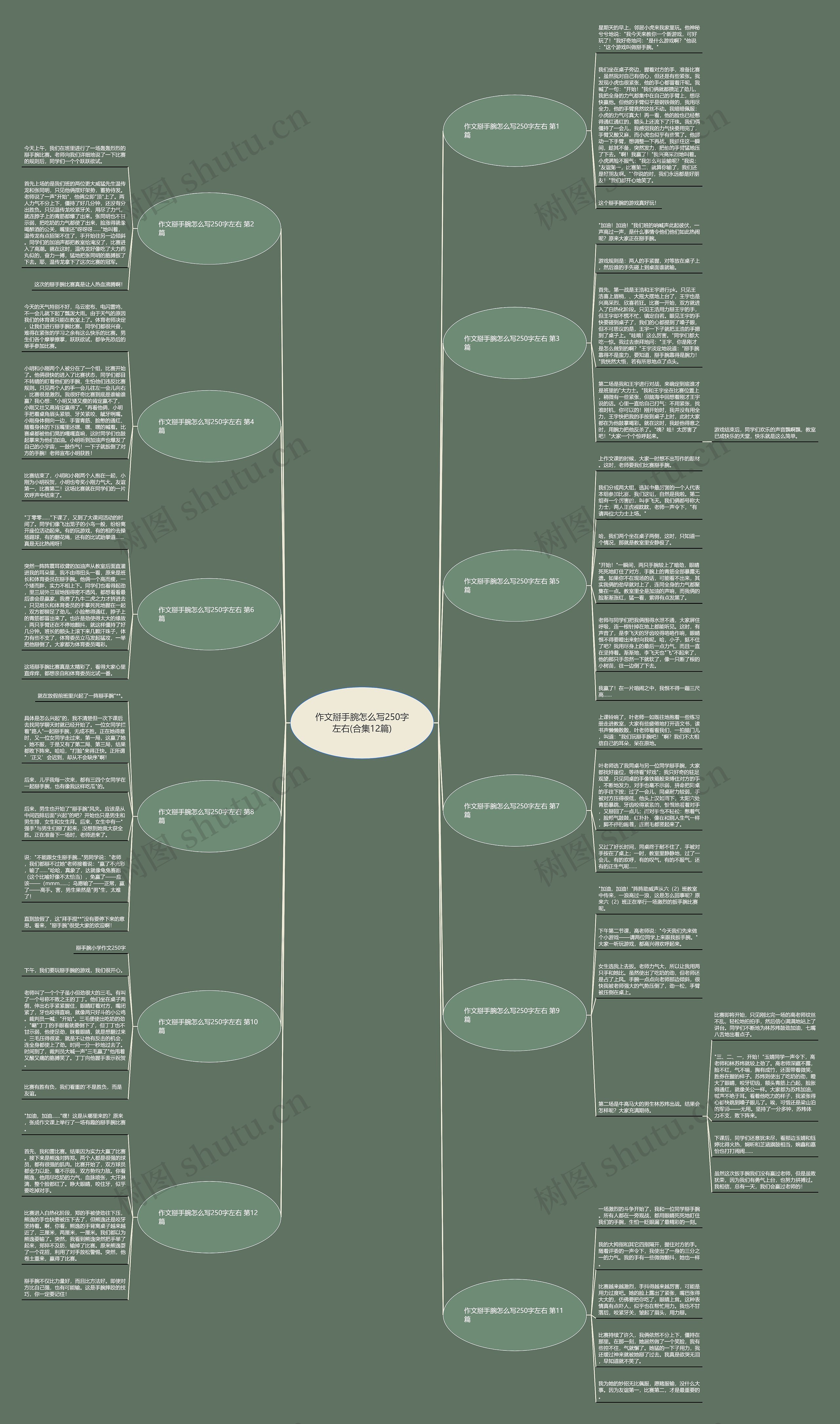 作文掰手腕怎么写250字左右(合集12篇)思维导图