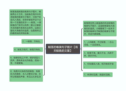 鲸落的唯美句子图片【有关鲸鱼的文案】