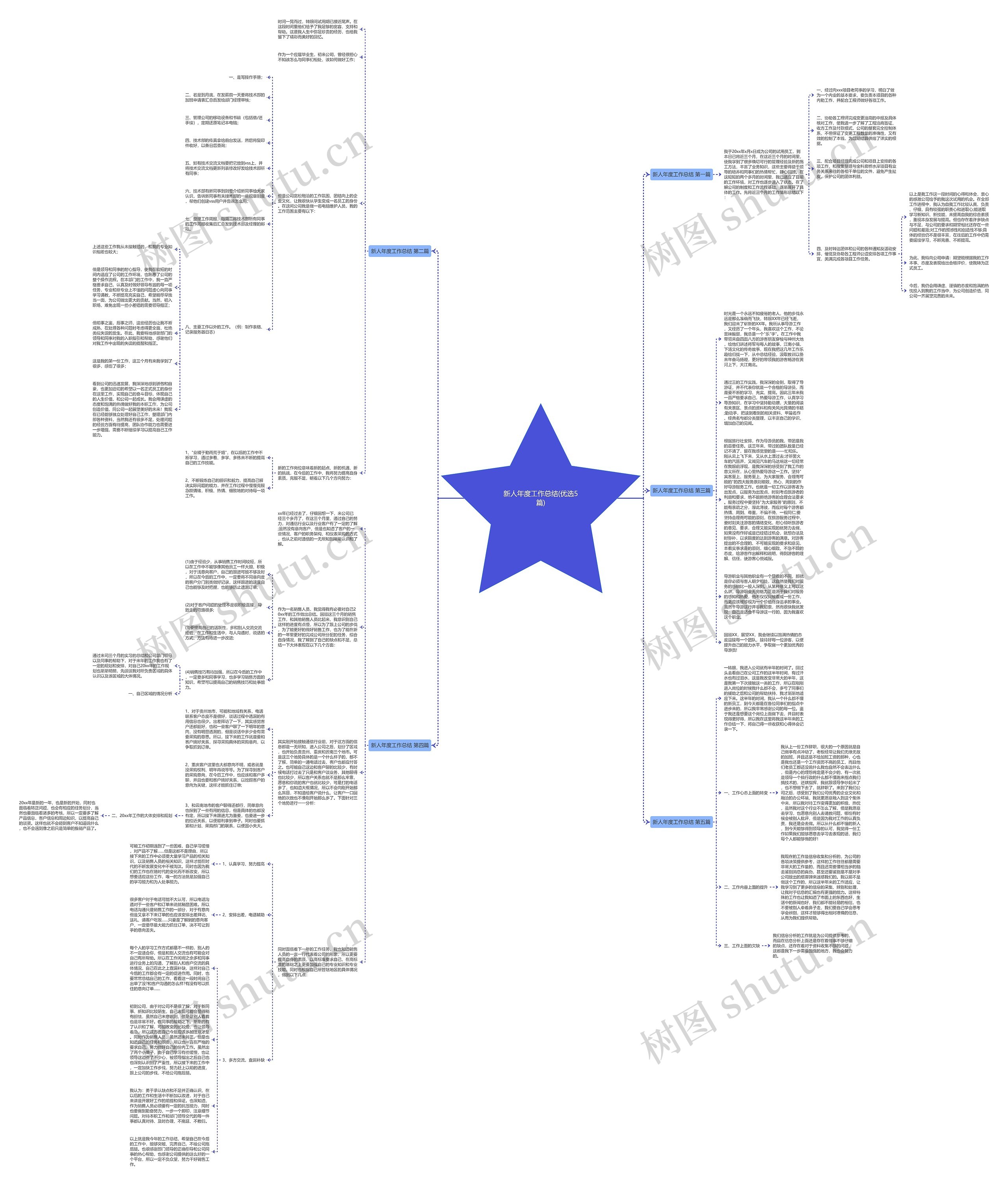 新人年度工作总结(优选5篇)思维导图