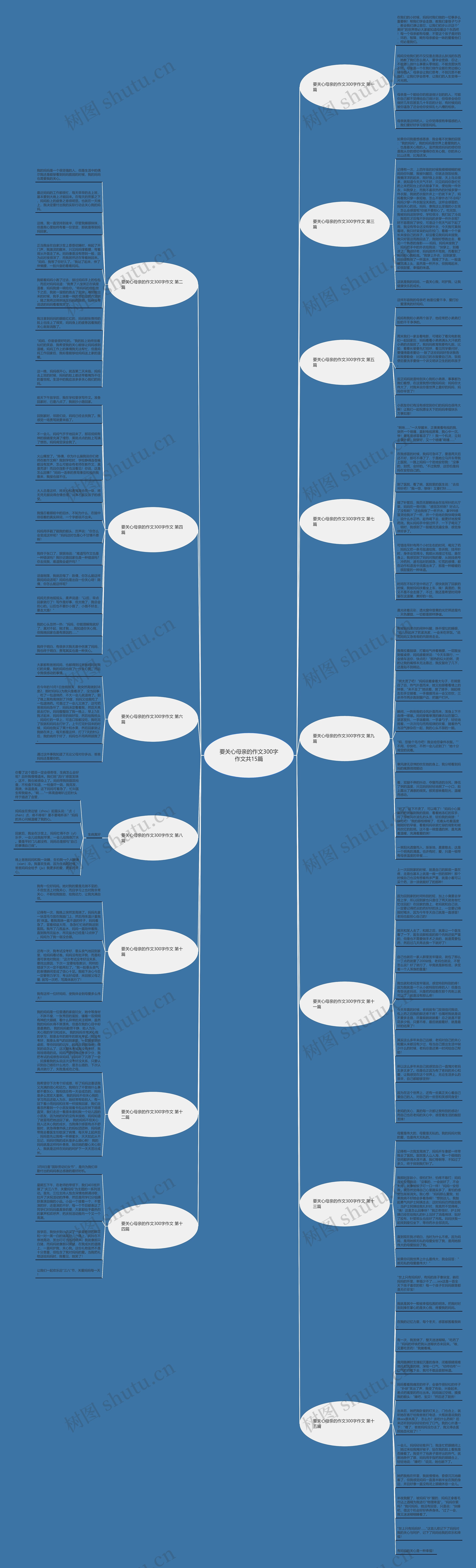 要关心母亲的作文300字作文共15篇思维导图