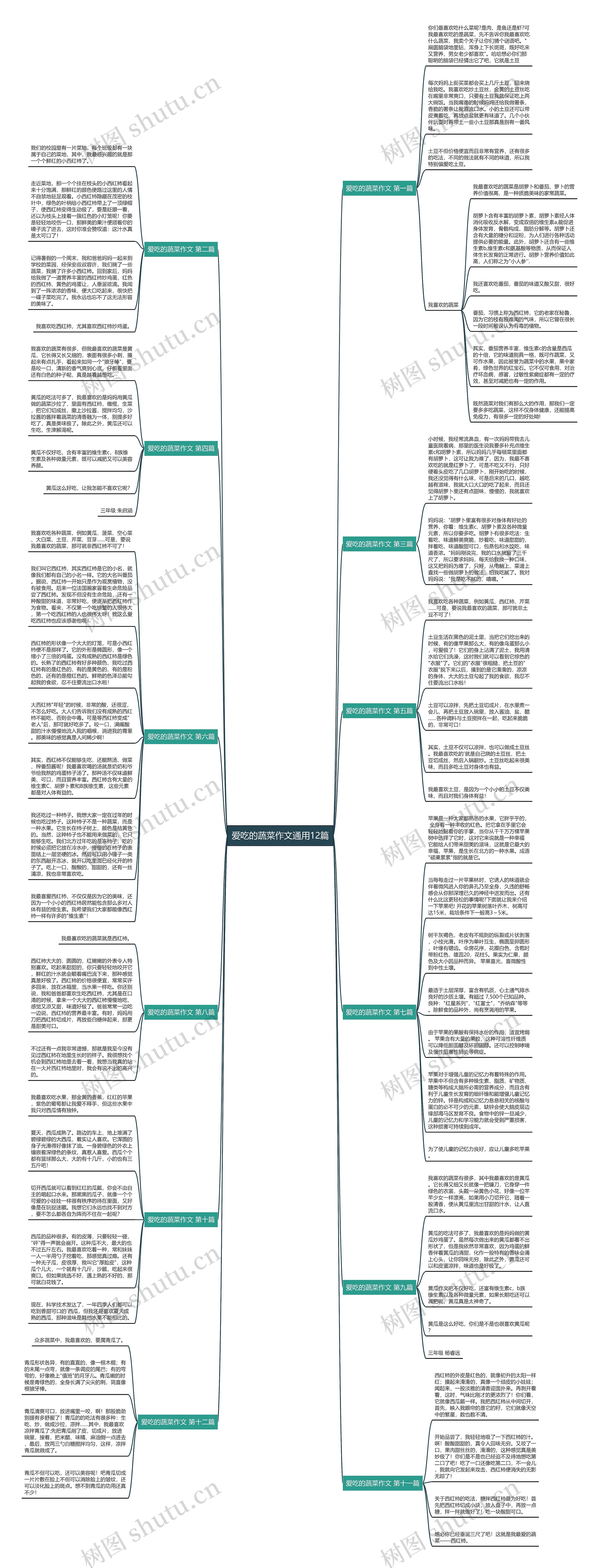 爱吃的蔬菜作文通用12篇思维导图