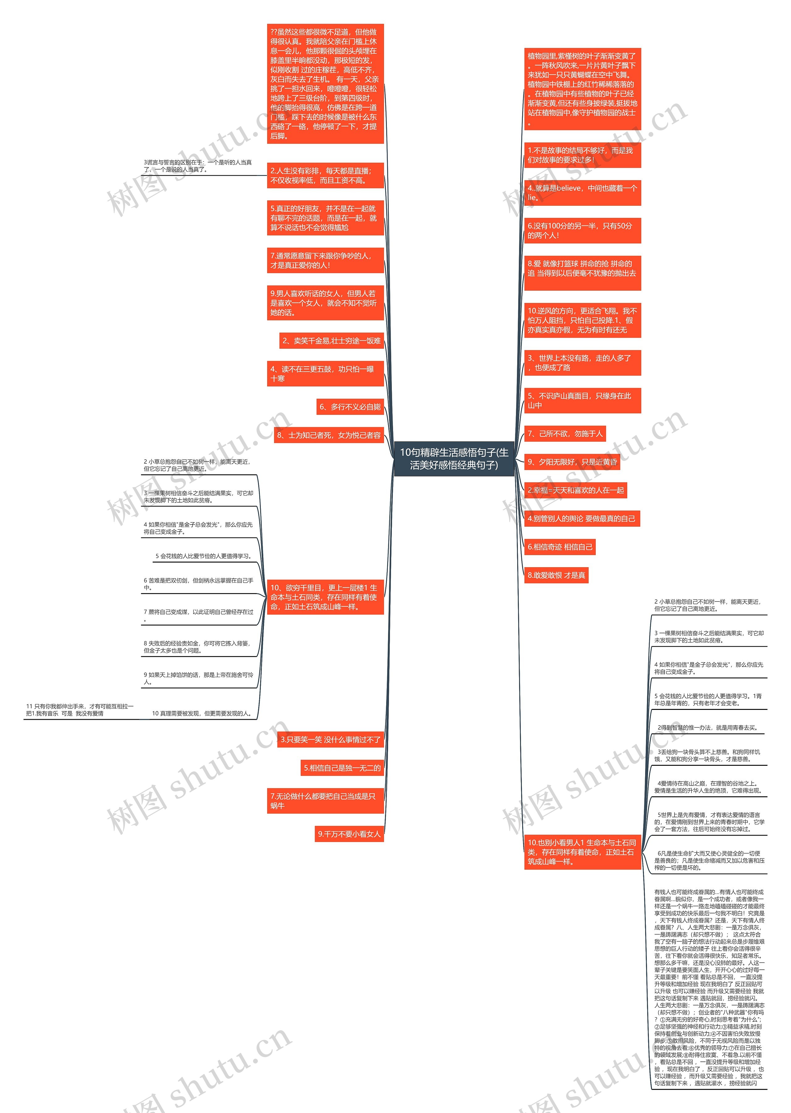 10句精辟生活感悟句子(生活美好感悟经典句子)思维导图
