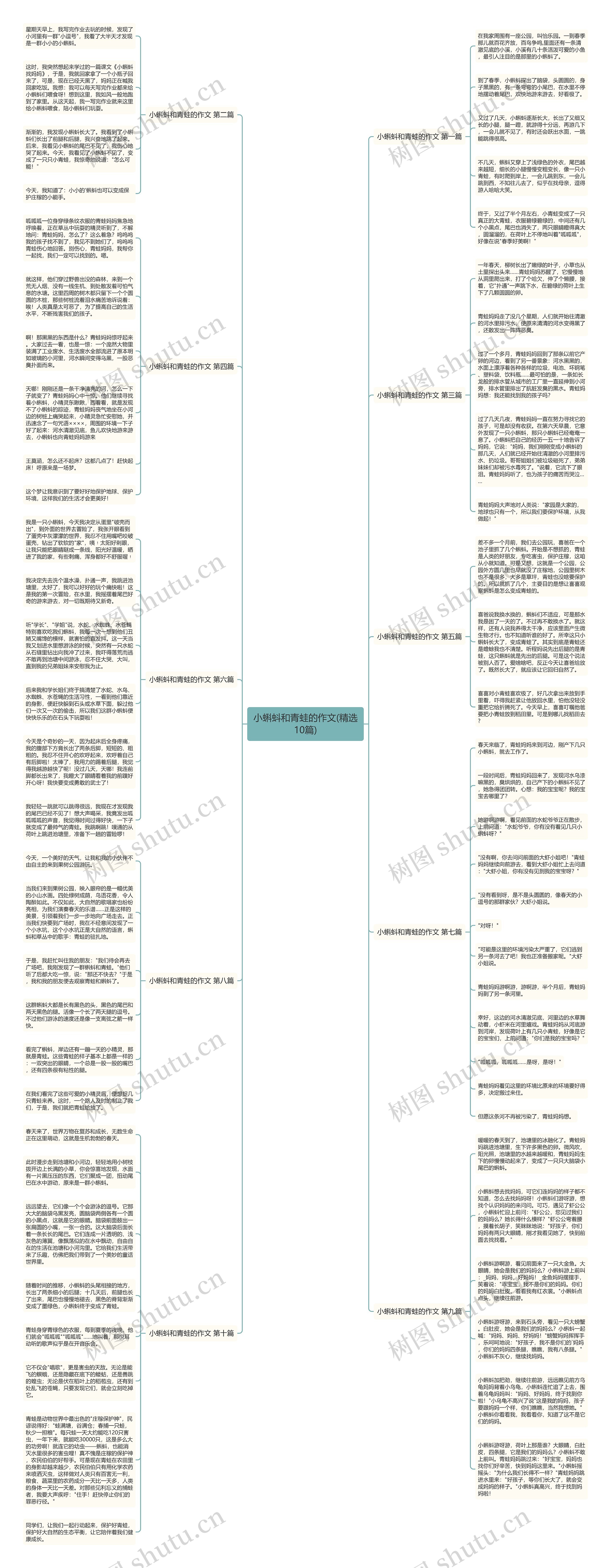 小蝌蚪和青蛙的作文(精选10篇)思维导图