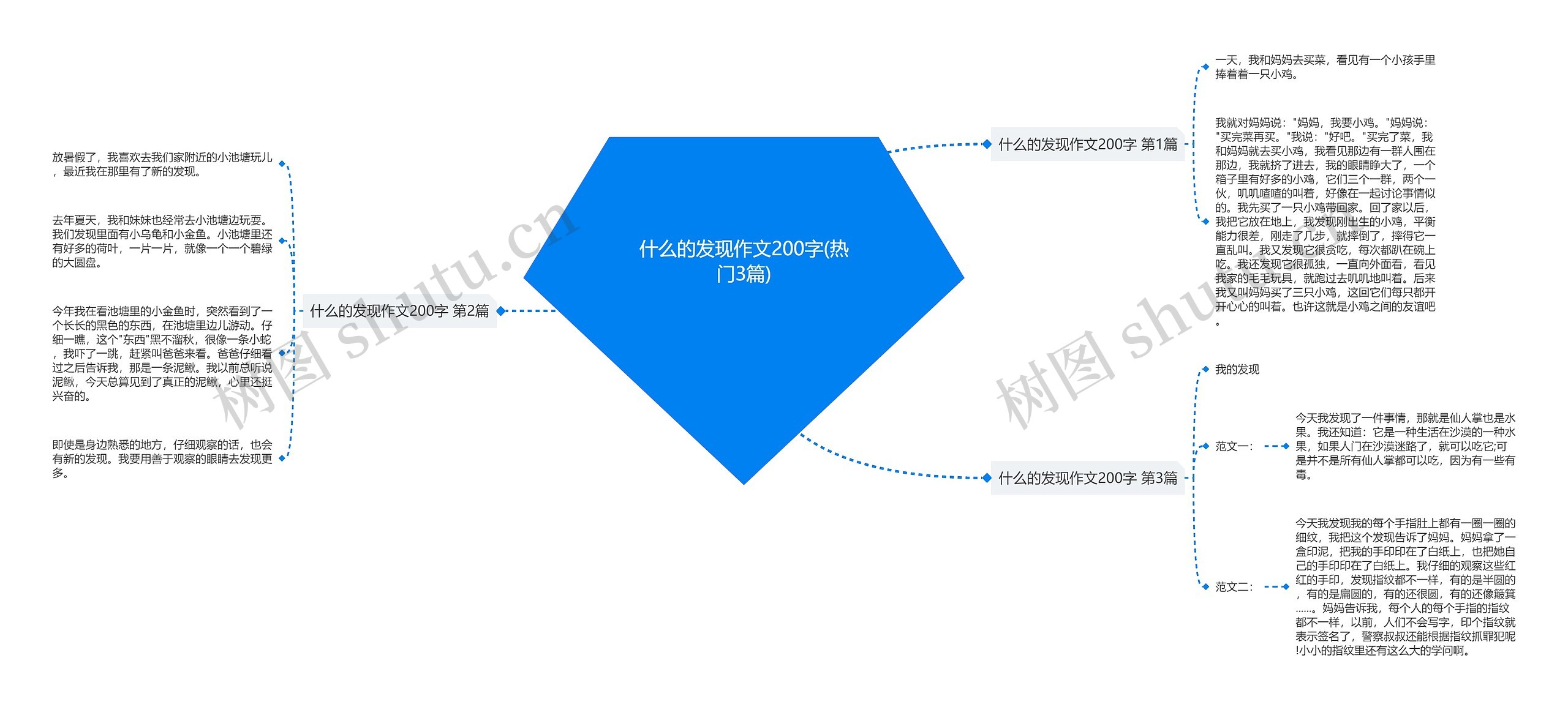 什么的发现作文200字(热门3篇)思维导图