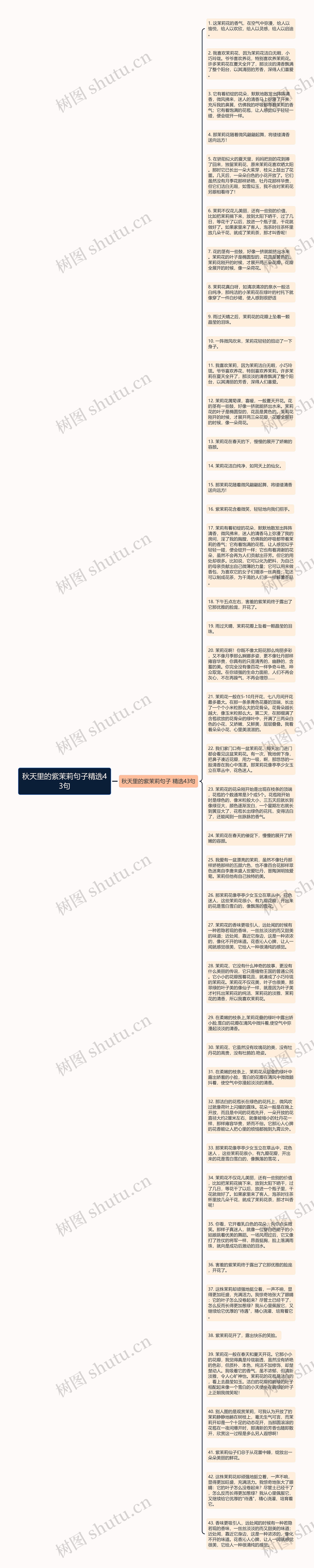 秋天里的紫茉莉句子精选43句思维导图