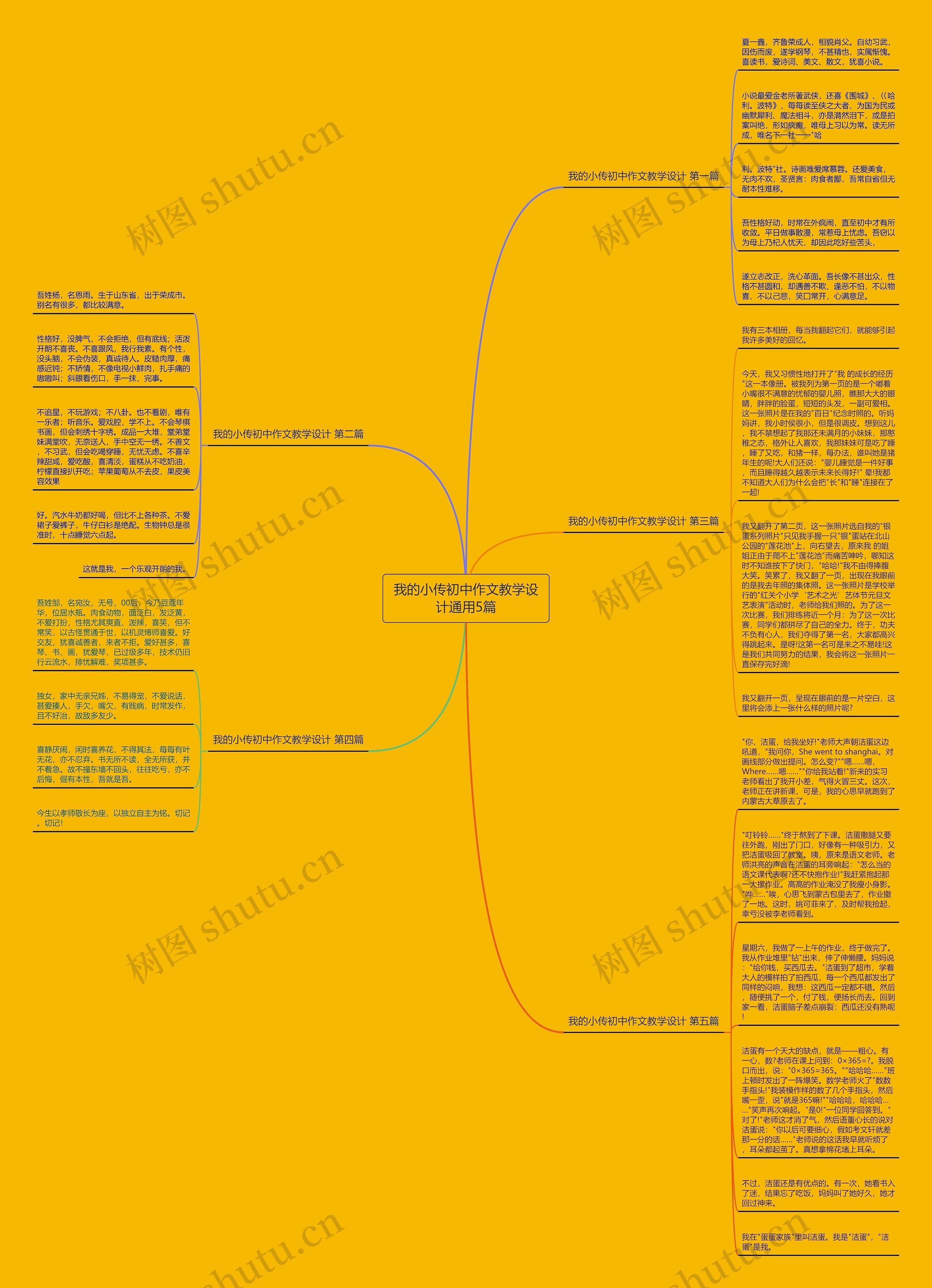 我的小传初中作文教学设计通用5篇思维导图